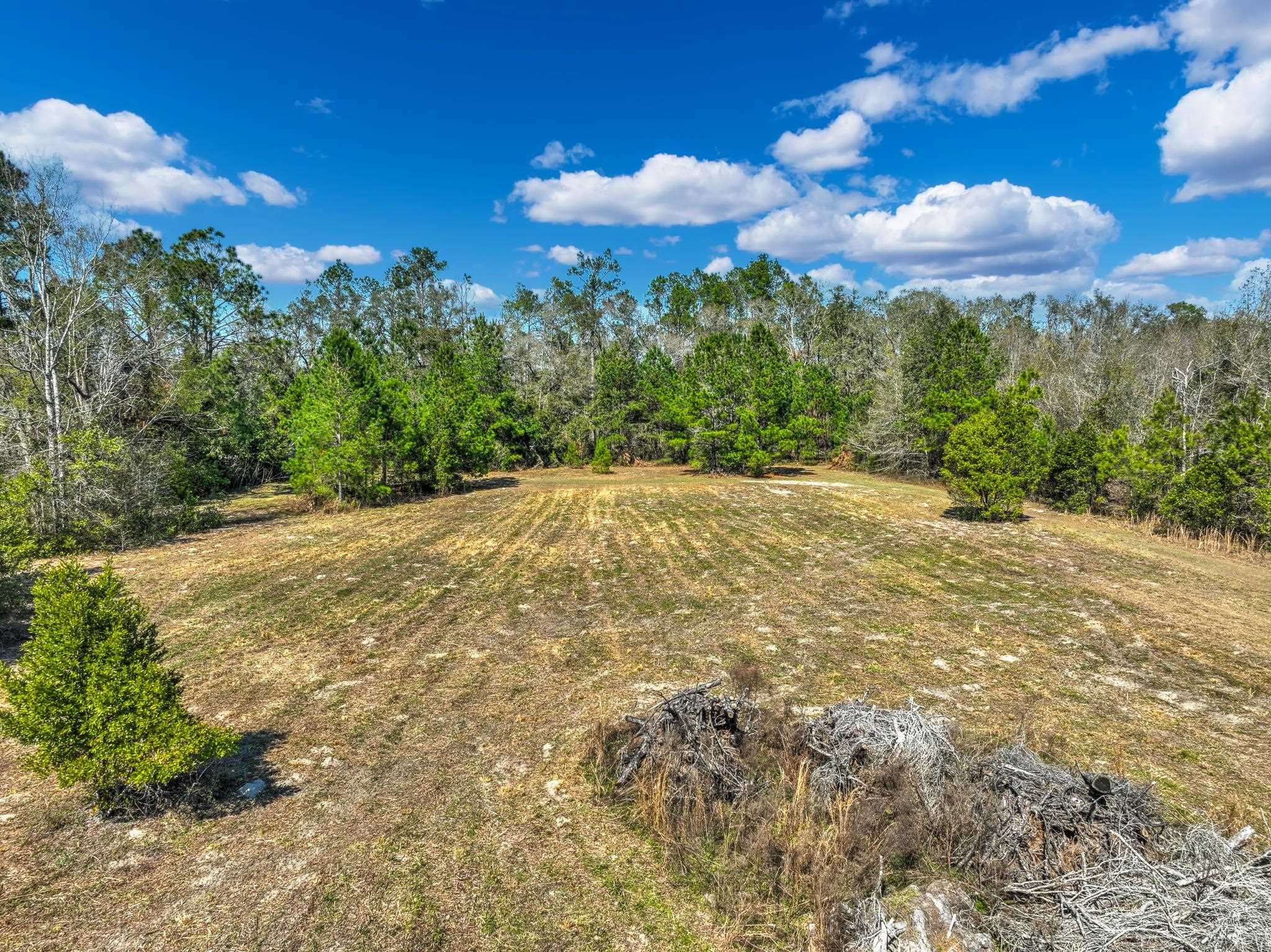 TBD Johnson Stripling,PERRY,Florida 32347,Lots and land,Johnson Stripling,368457