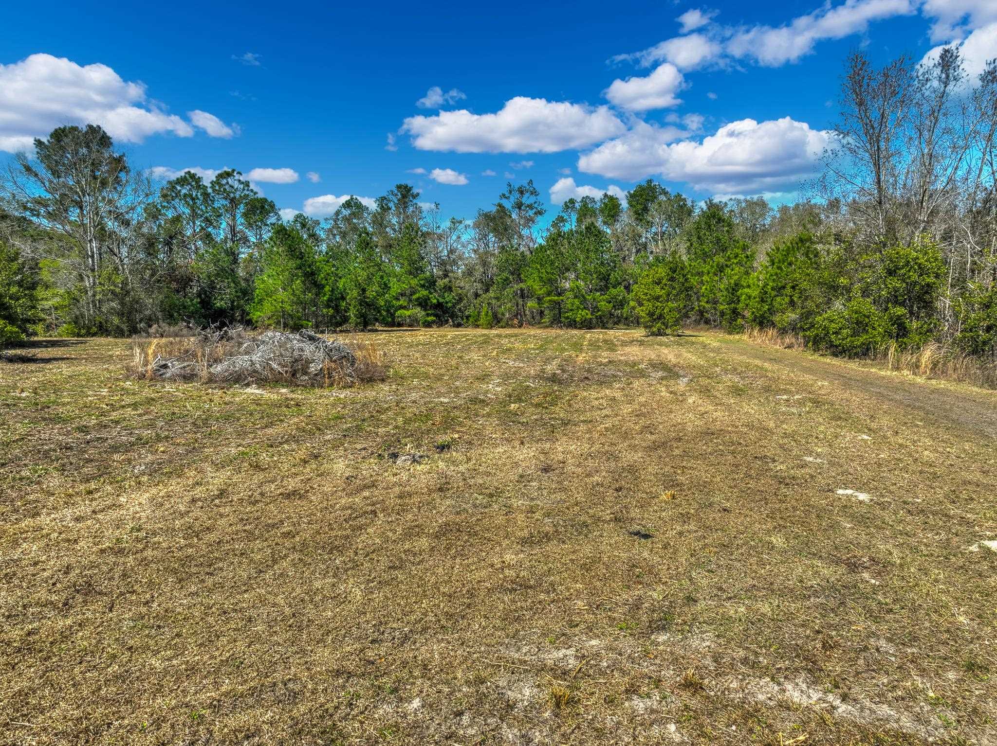 TBD Johnson Stripling,PERRY,Florida 32347,Lots and land,Johnson Stripling,368457