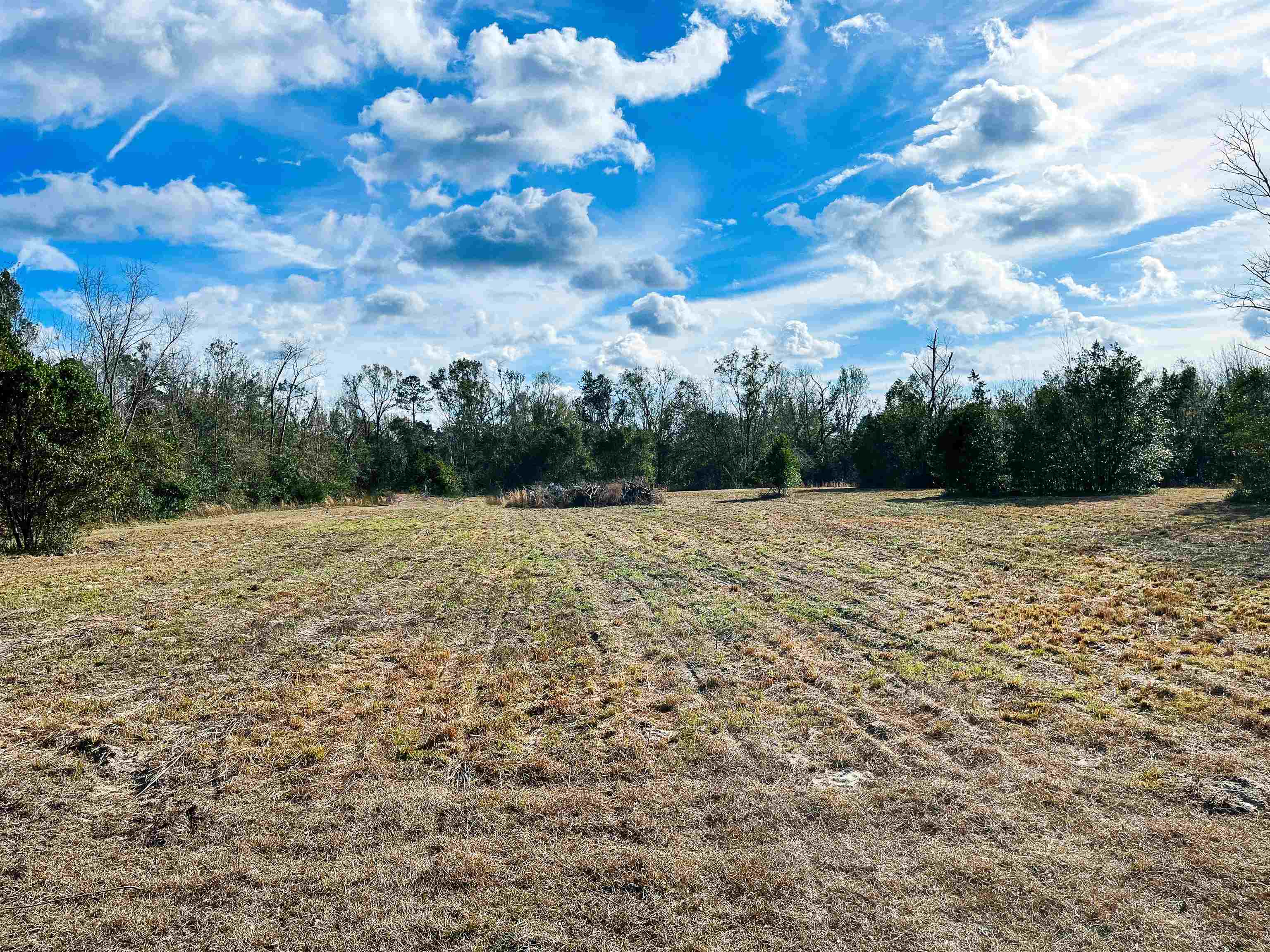 TBD Johnson Stripling,PERRY,Florida 32347,Lots and land,Johnson Stripling,368457