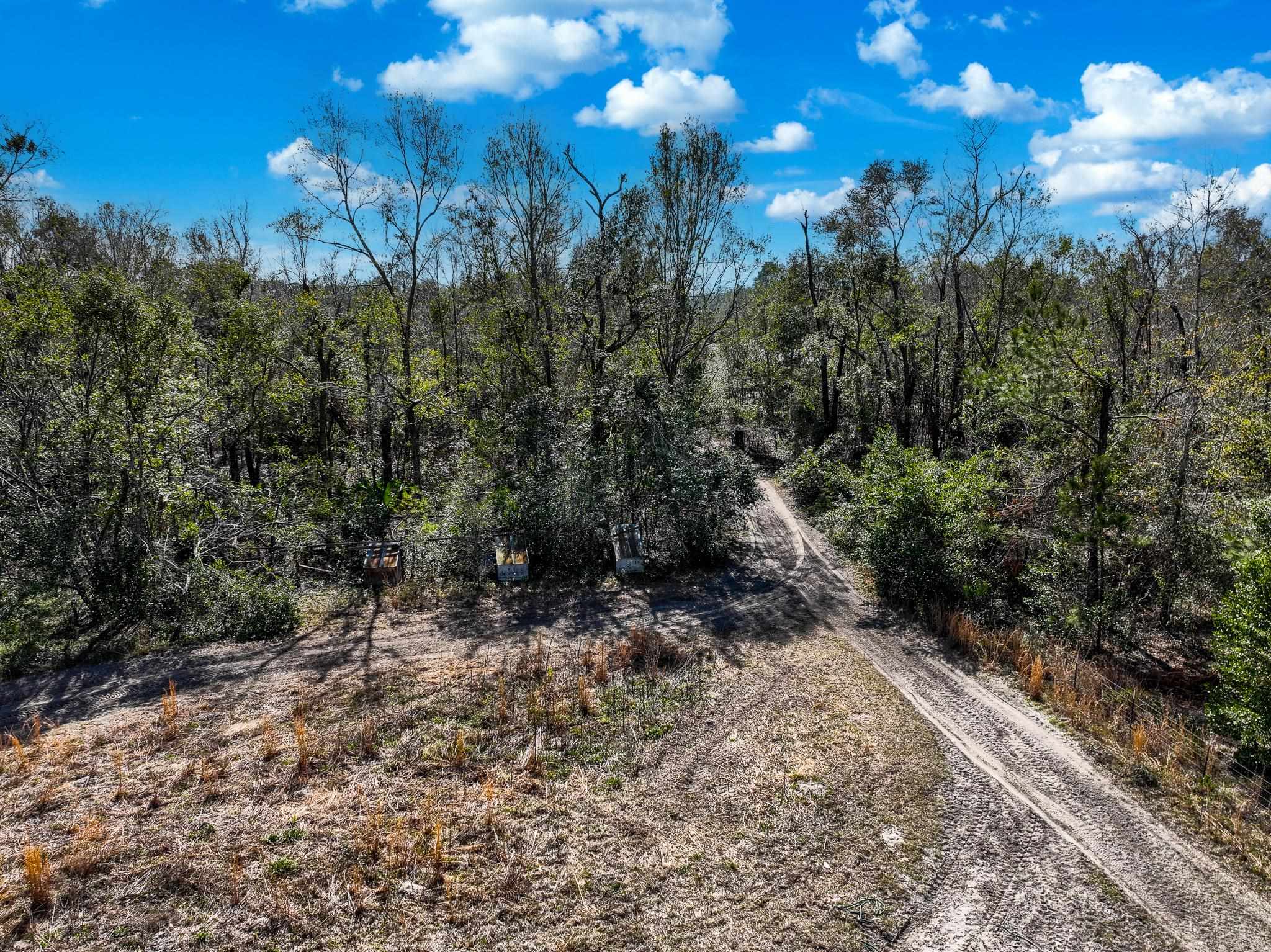 TBD Johnson Stripling,PERRY,Florida 32347,Lots and land,Johnson Stripling,368457