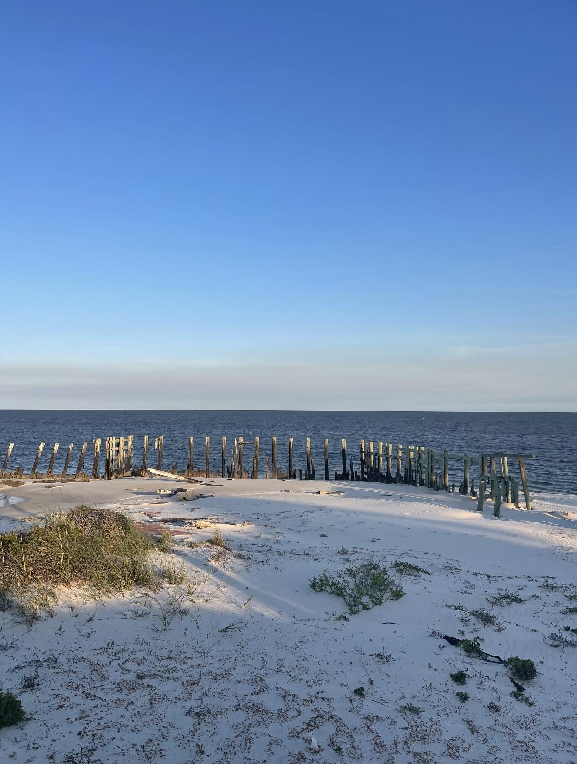 1029 Gulf Shore,ALLIGATOR POINT,Florida 32346,Lots and land,Gulf Shore,358366