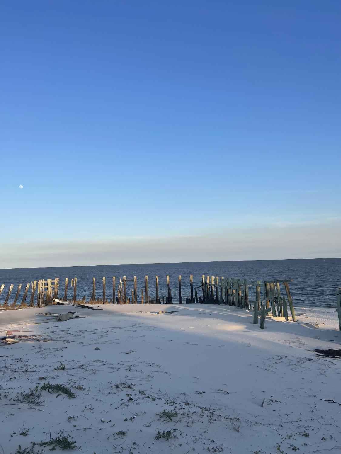 1029 Gulf Shore,ALLIGATOR POINT,Florida 32346,Lots and land,Gulf Shore,358366