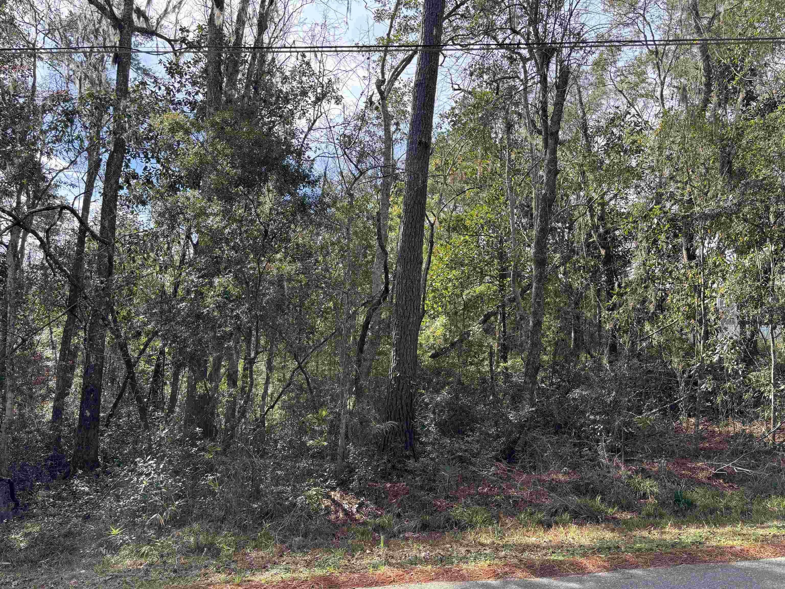 1864 Collins Landing,TALLAHASSEE,Florida 32310,Lots and land,Collins Landing,368482