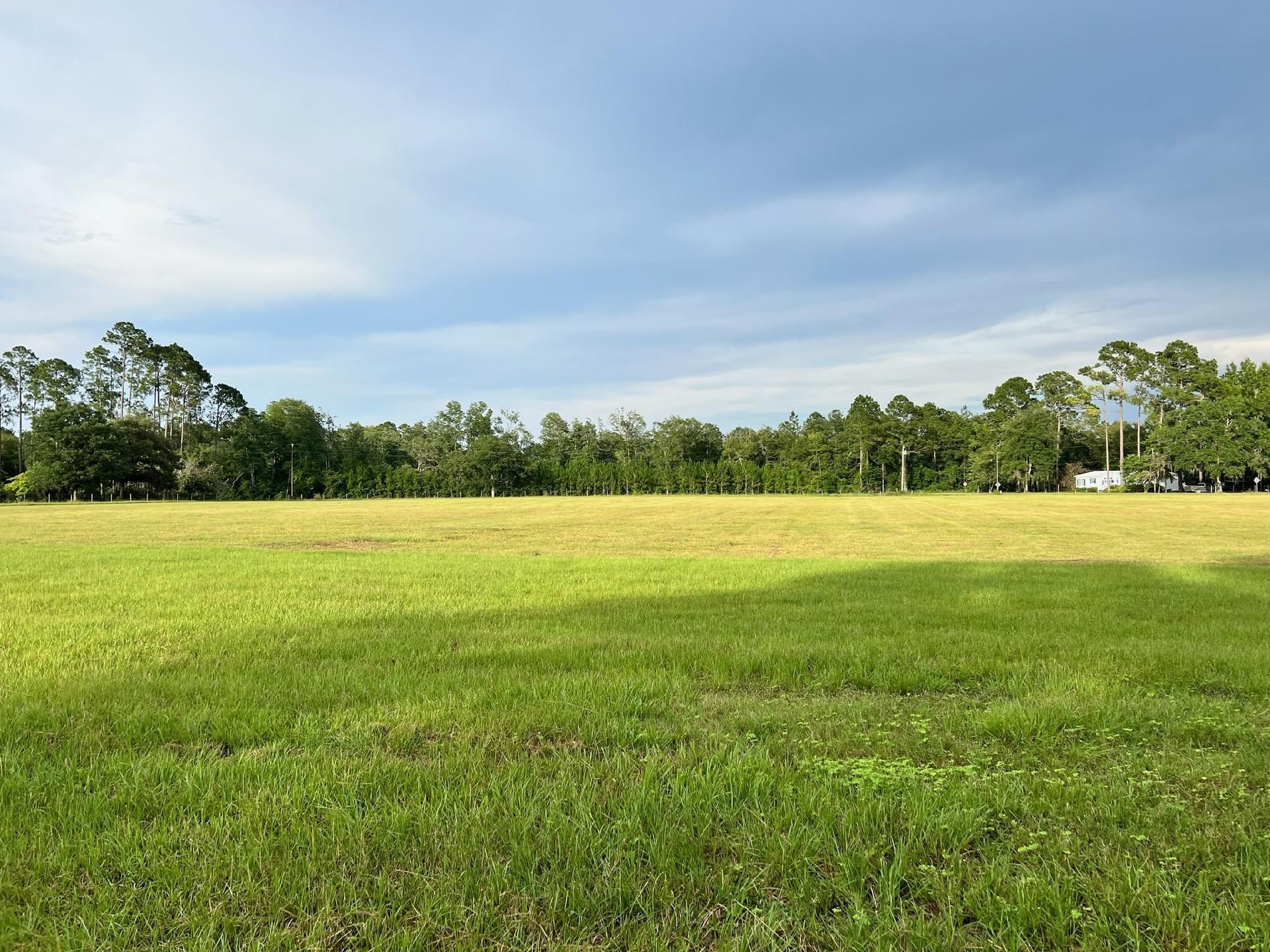 000 Preston Sheffield Rd,PERRY,Florida 32347,Lots and land,Preston Sheffield Rd,368504