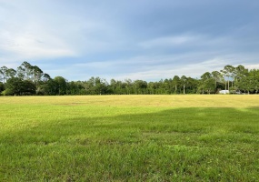000 Preston Sheffield Rd,PERRY,Florida 32347,Lots and land,Preston Sheffield Rd,368504