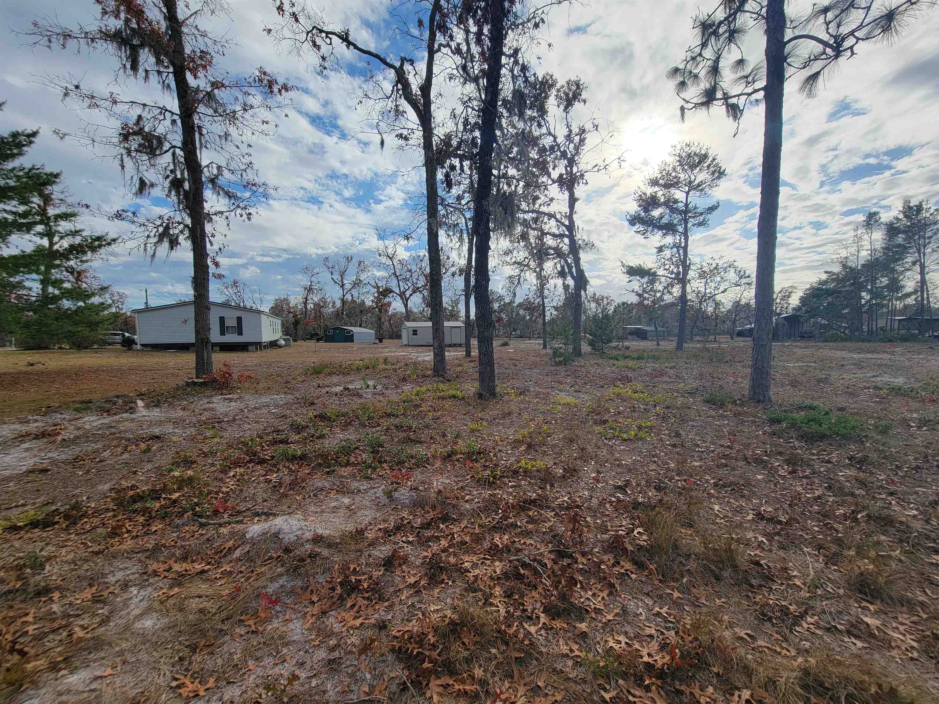 15125 Snapper Street,PERRY,Florida 32348,3 Bedrooms Bedrooms,2 BathroomsBathrooms,Manuf/mobile home,15125 Snapper Street,367977