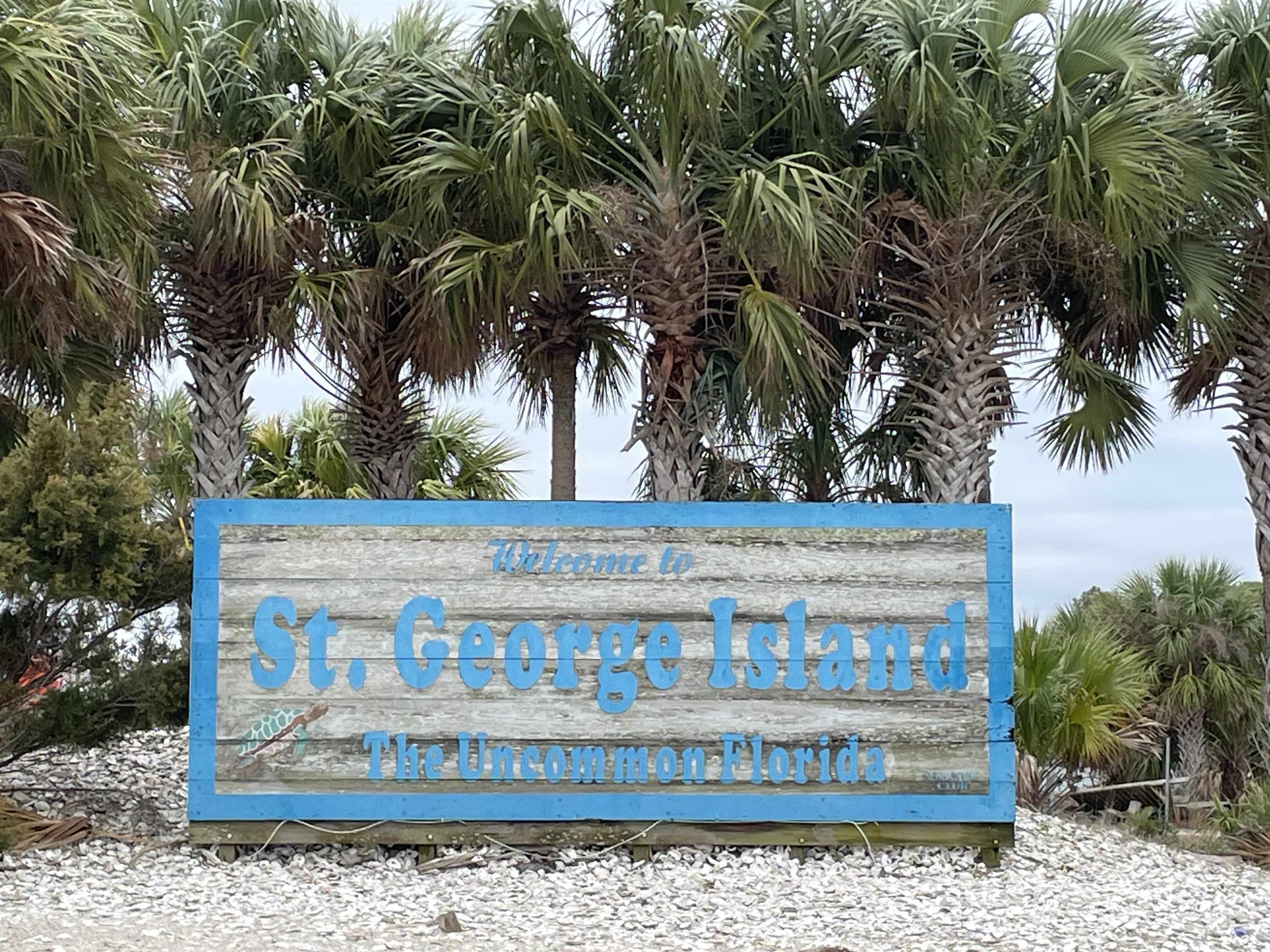 209 Brown,ST GEORGE ISLAN,Florida 32328,Lots and land,Brown,5,368507