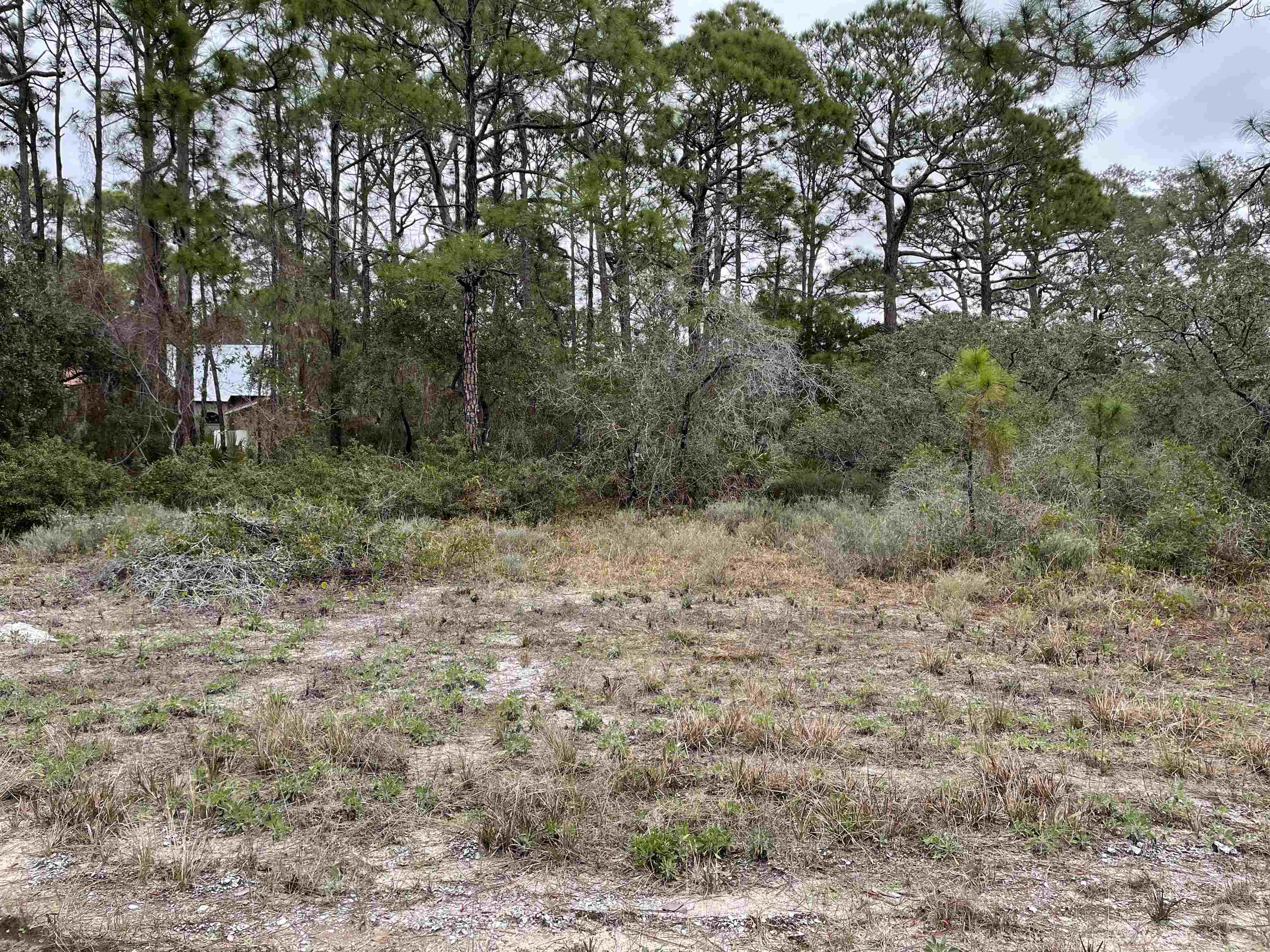 209 Brown,ST GEORGE ISLAN,Florida 32328,Lots and land,Brown,5,368507