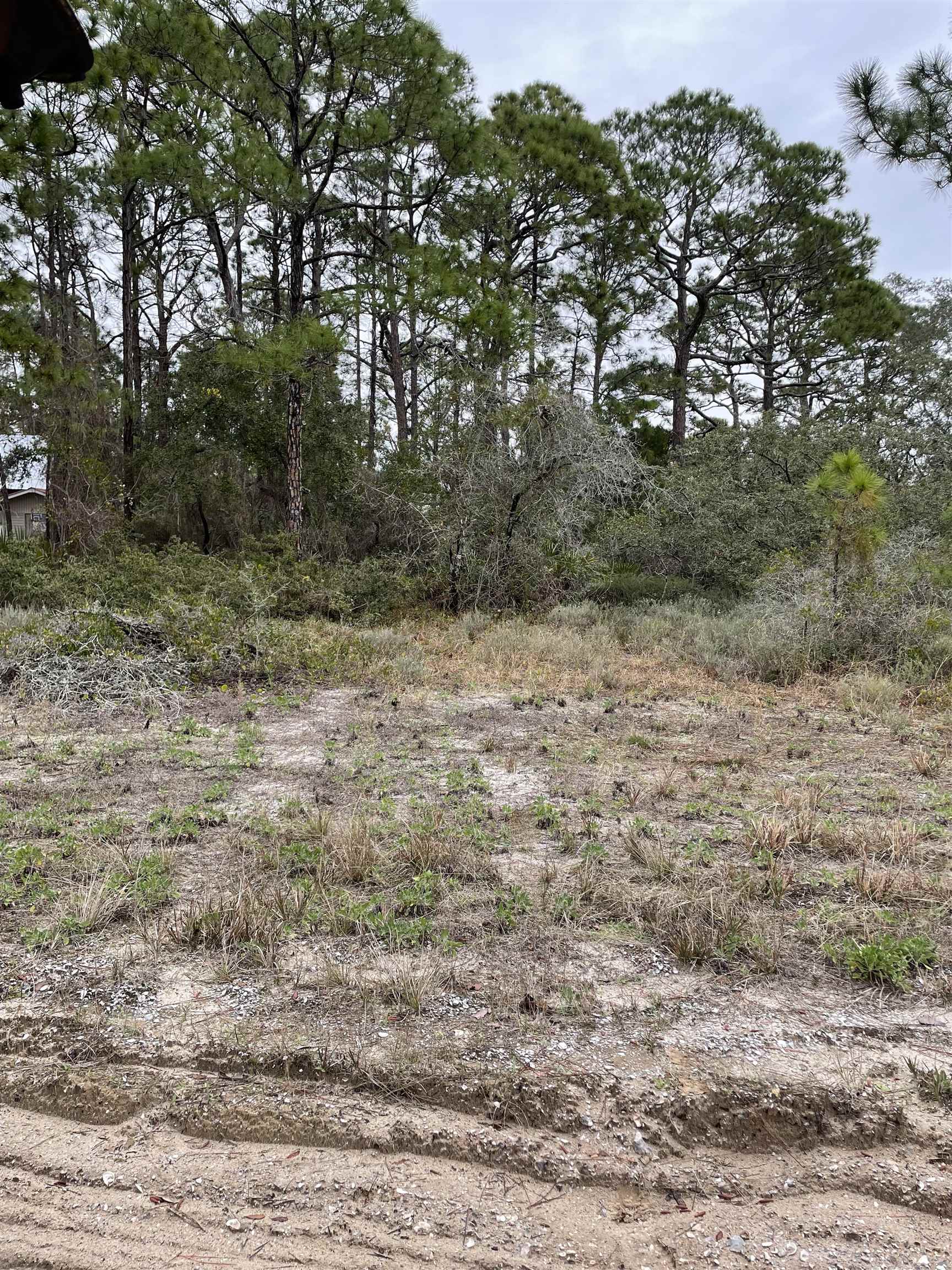 209 Brown,ST GEORGE ISLAN,Florida 32328,Lots and land,Brown,5,368507