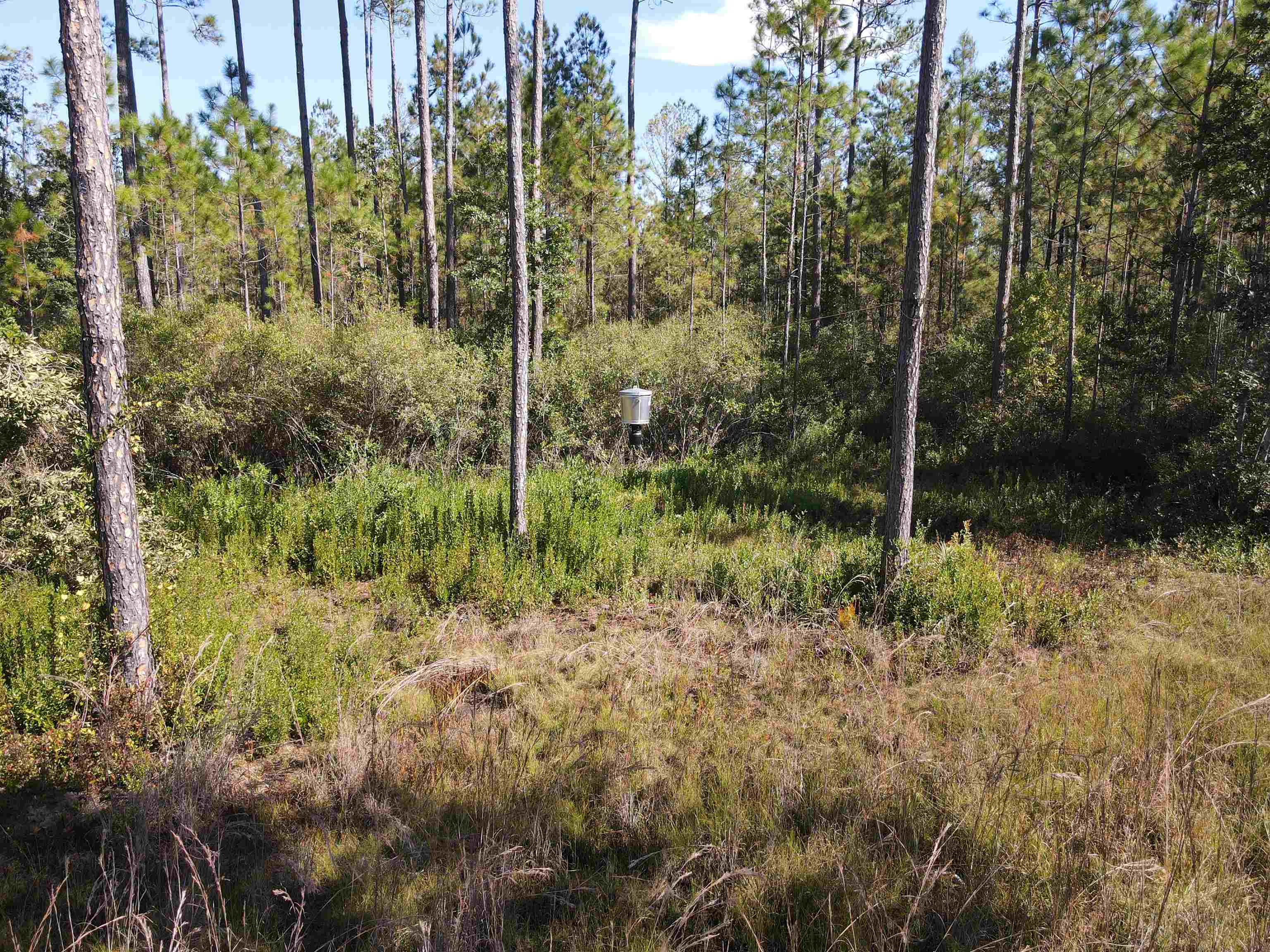 LOT 117 Pacific Dr.,GREENVILLE,Florida 32331,Lots and land,Pacific Dr.,365618