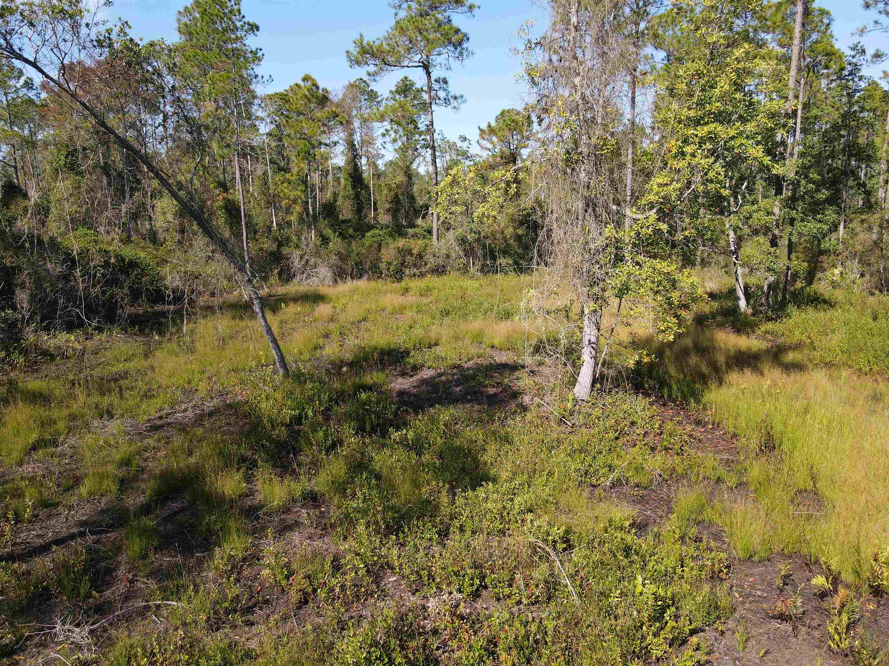 LOT 117 Pacific Dr.,GREENVILLE,Florida 32331,Lots and land,Pacific Dr.,365618