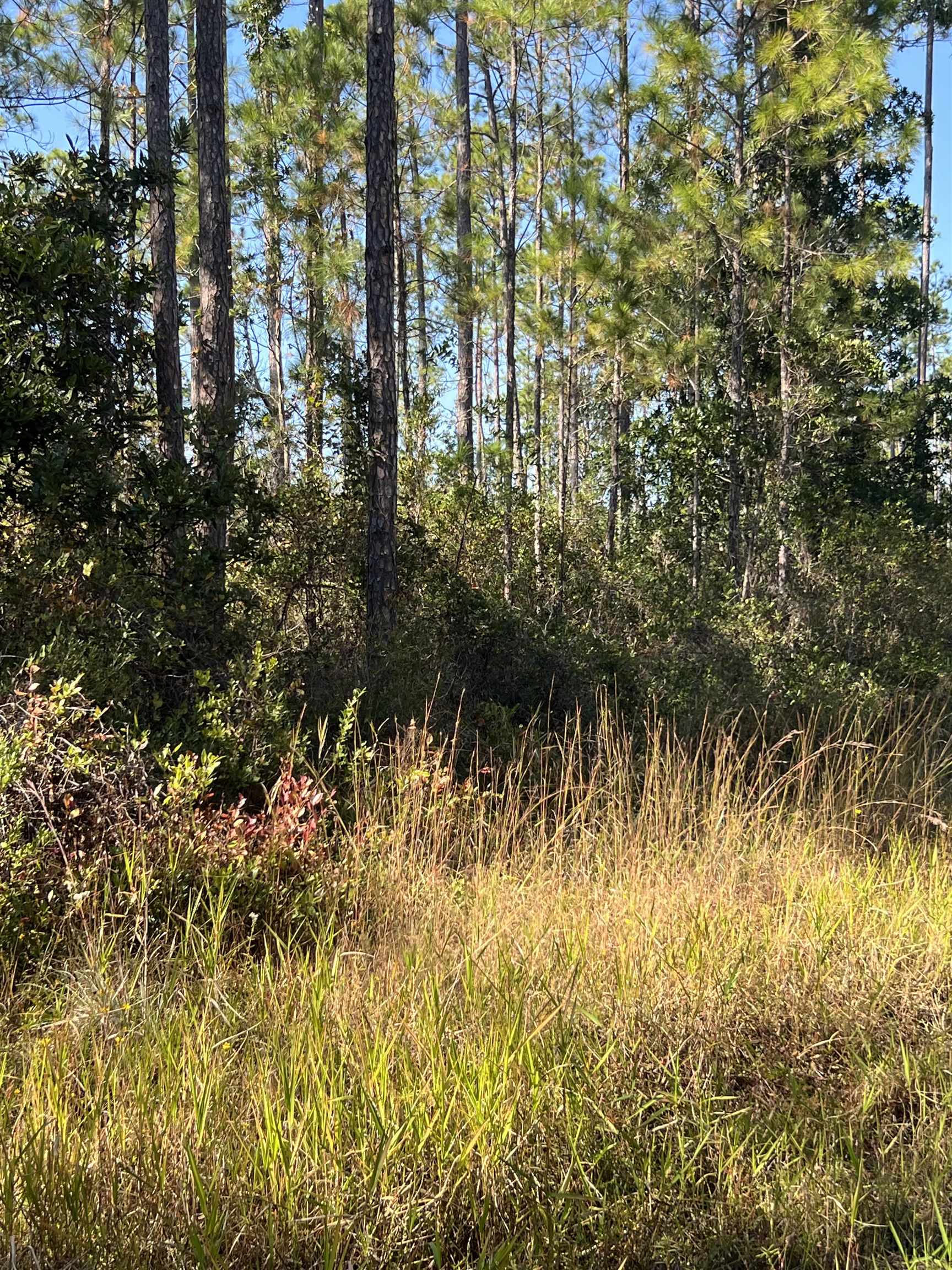 LOT 117 Pacific Dr.,GREENVILLE,Florida 32331,Lots and land,Pacific Dr.,365618