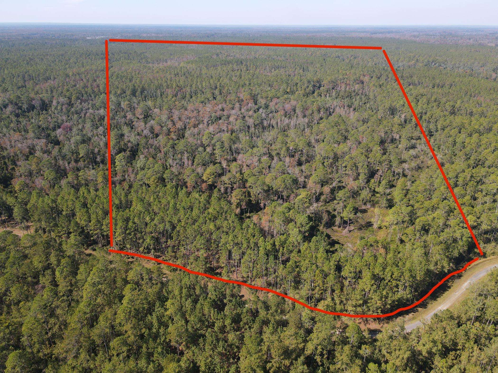 LOT 117 Pacific Dr.,GREENVILLE,Florida 32331,Lots and land,Pacific Dr.,365618