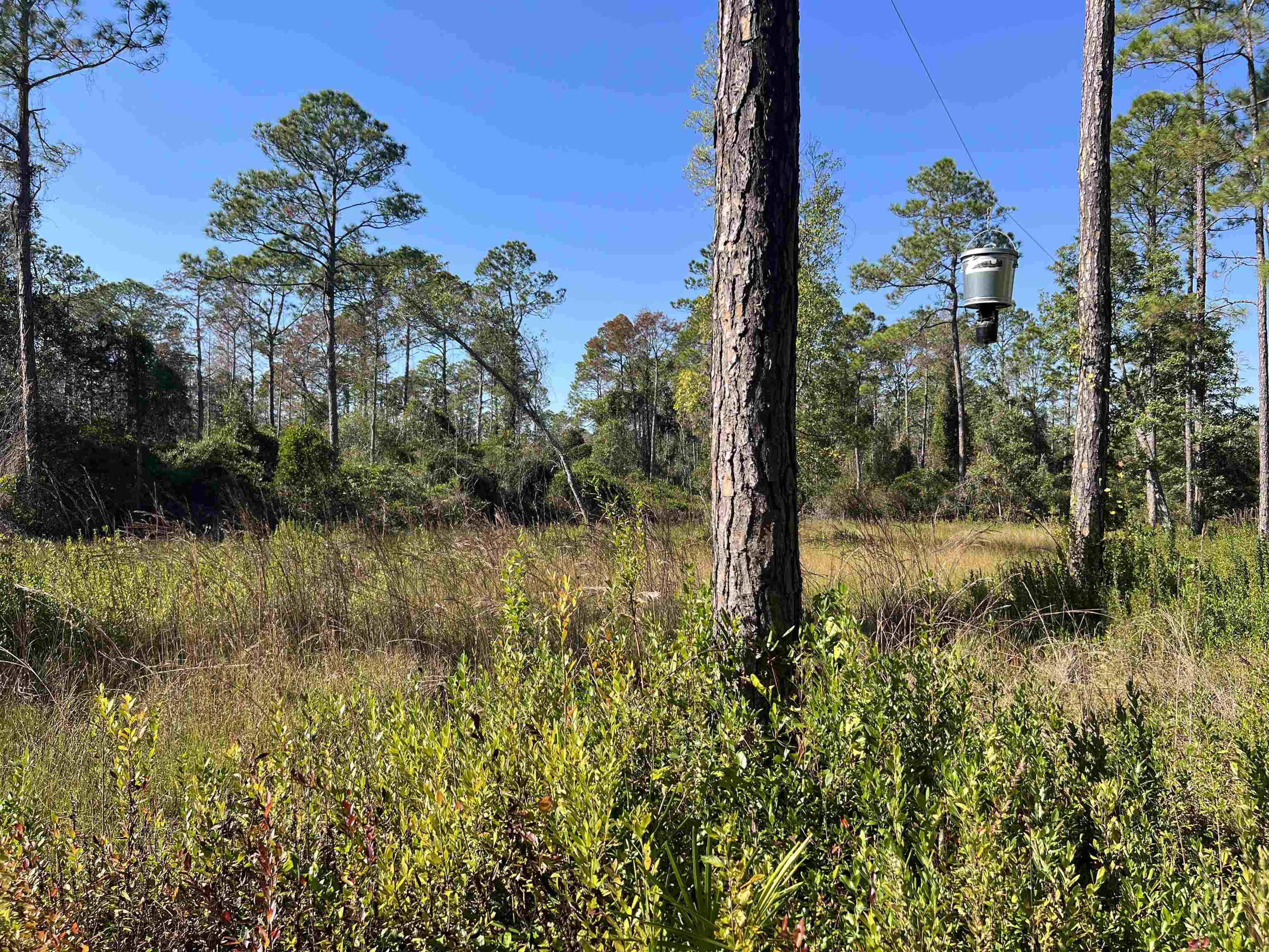 LOT 117 Pacific Dr.,GREENVILLE,Florida 32331,Lots and land,Pacific Dr.,365618