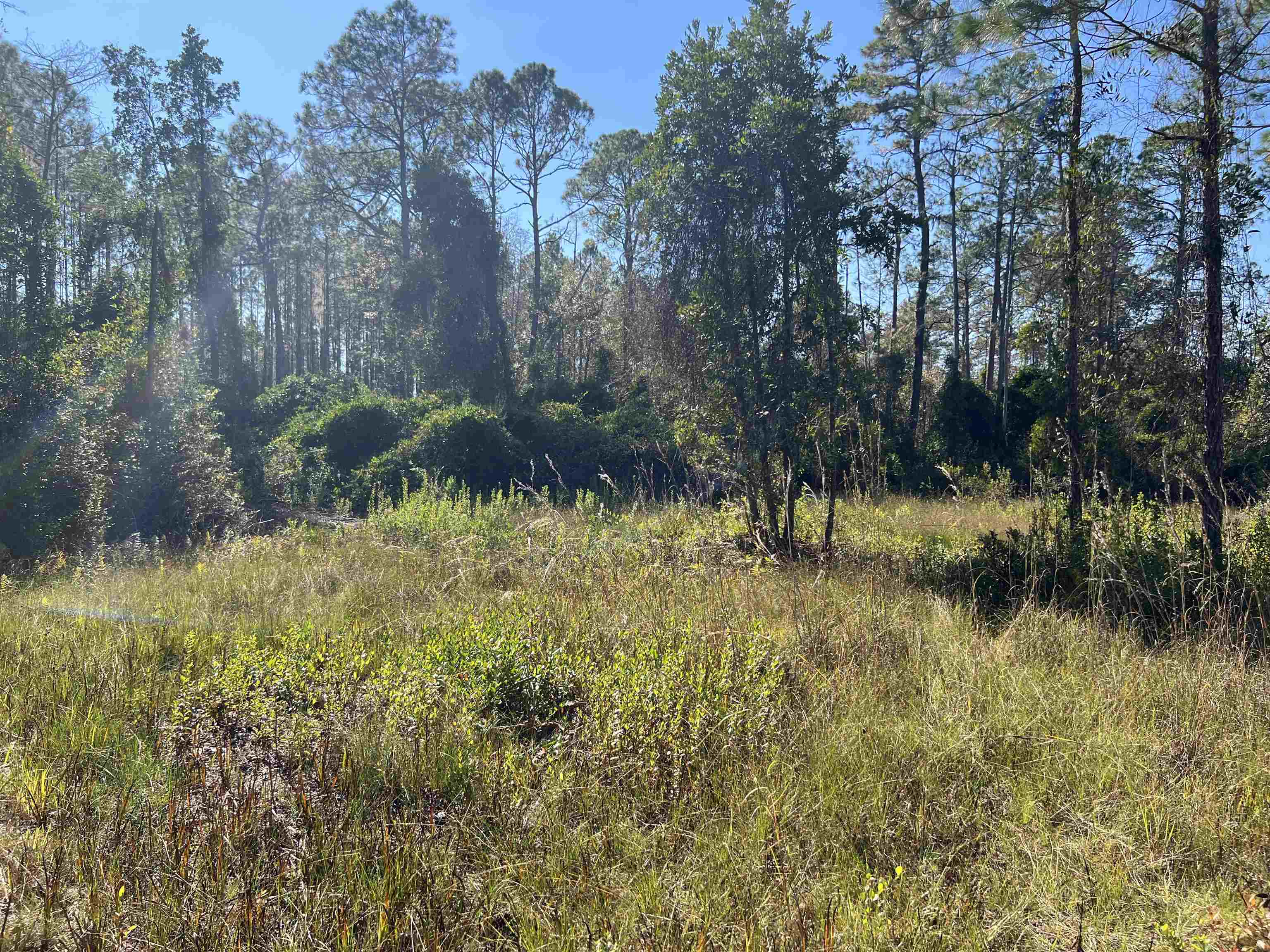 LOT 117 Pacific Dr.,GREENVILLE,Florida 32331,Lots and land,Pacific Dr.,365618