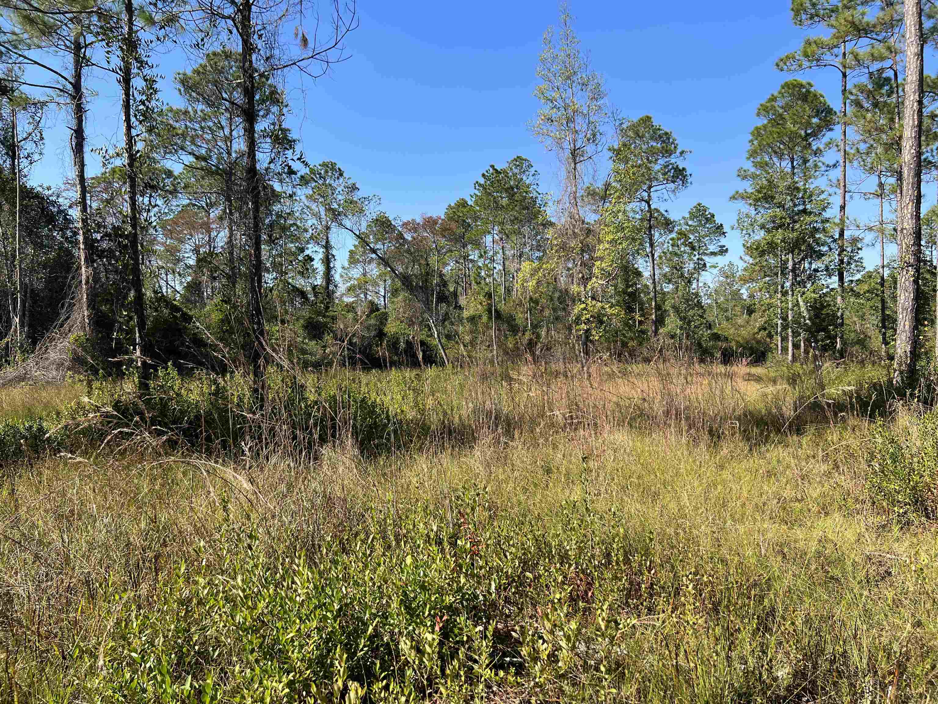 LOT 117 Pacific Dr.,GREENVILLE,Florida 32331,Lots and land,Pacific Dr.,365618