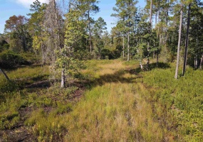LOT 117 Pacific Dr.,GREENVILLE,Florida 32331,Lots and land,Pacific Dr.,365618