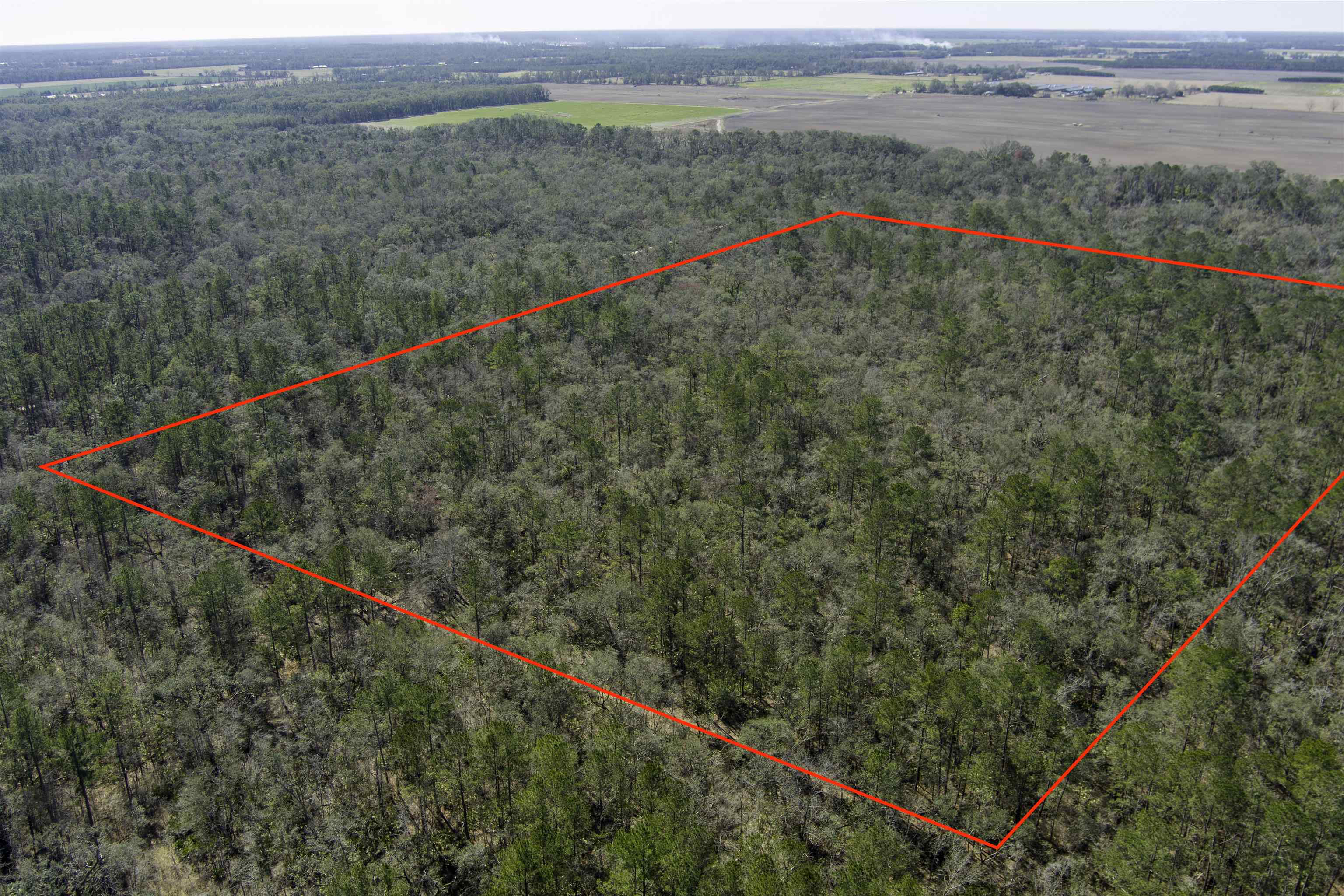 000 CR 292,MAYO,Florida 32066,Lots and land,CR 292,368529