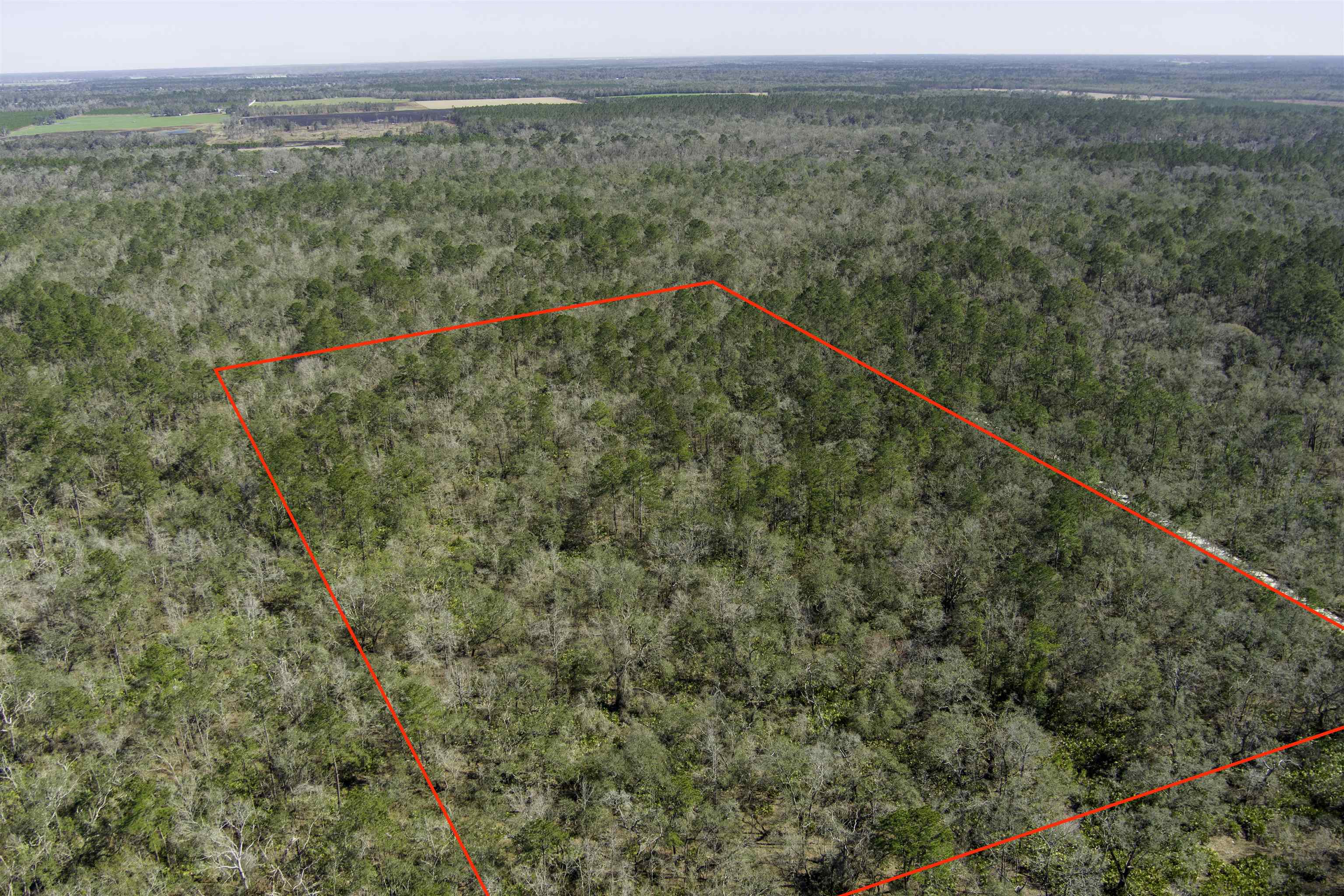 000 CR 292,MAYO,Florida 32066,Lots and land,CR 292,368529