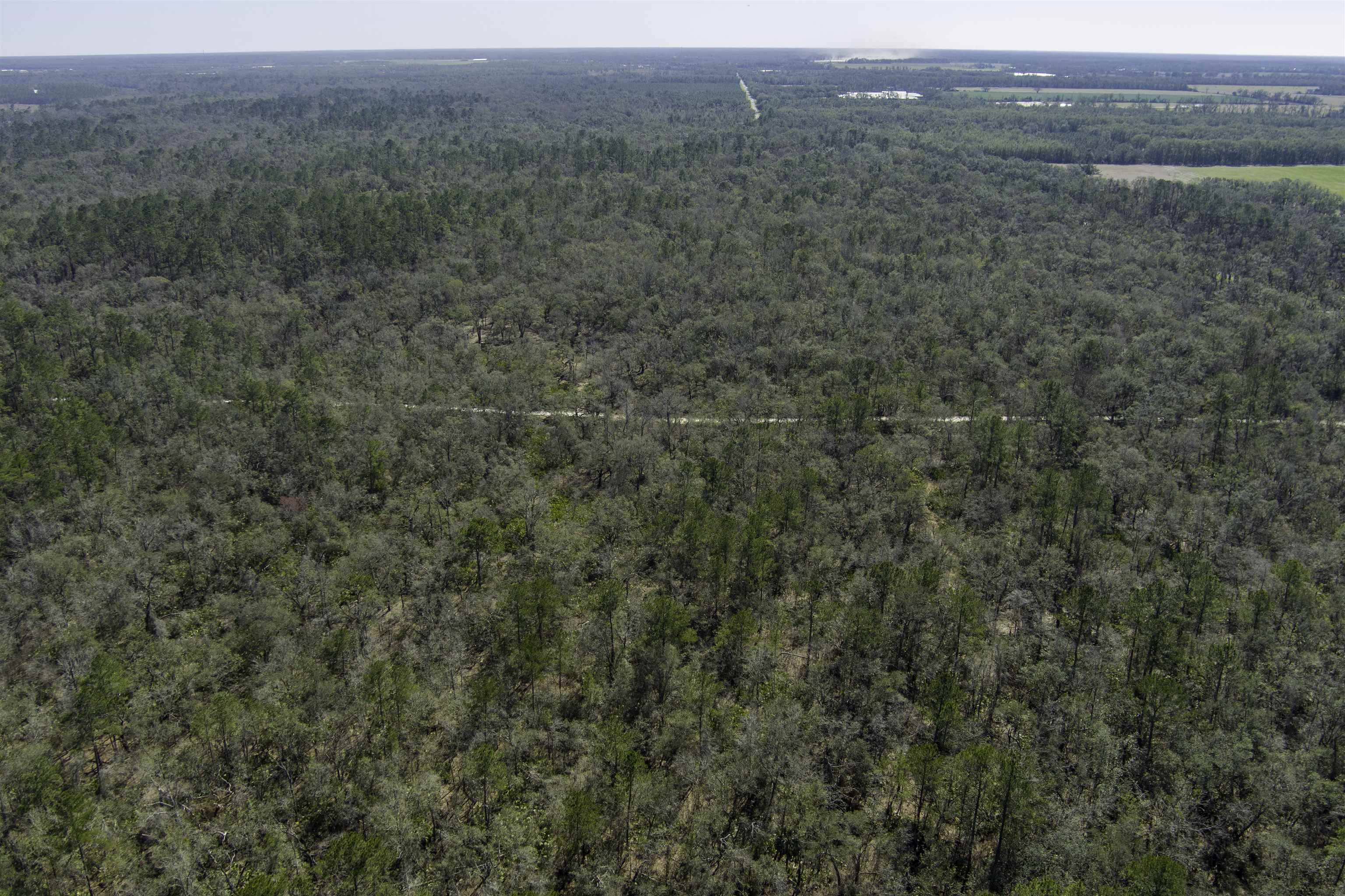 000 CR 292,MAYO,Florida 32066,Lots and land,CR 292,368529