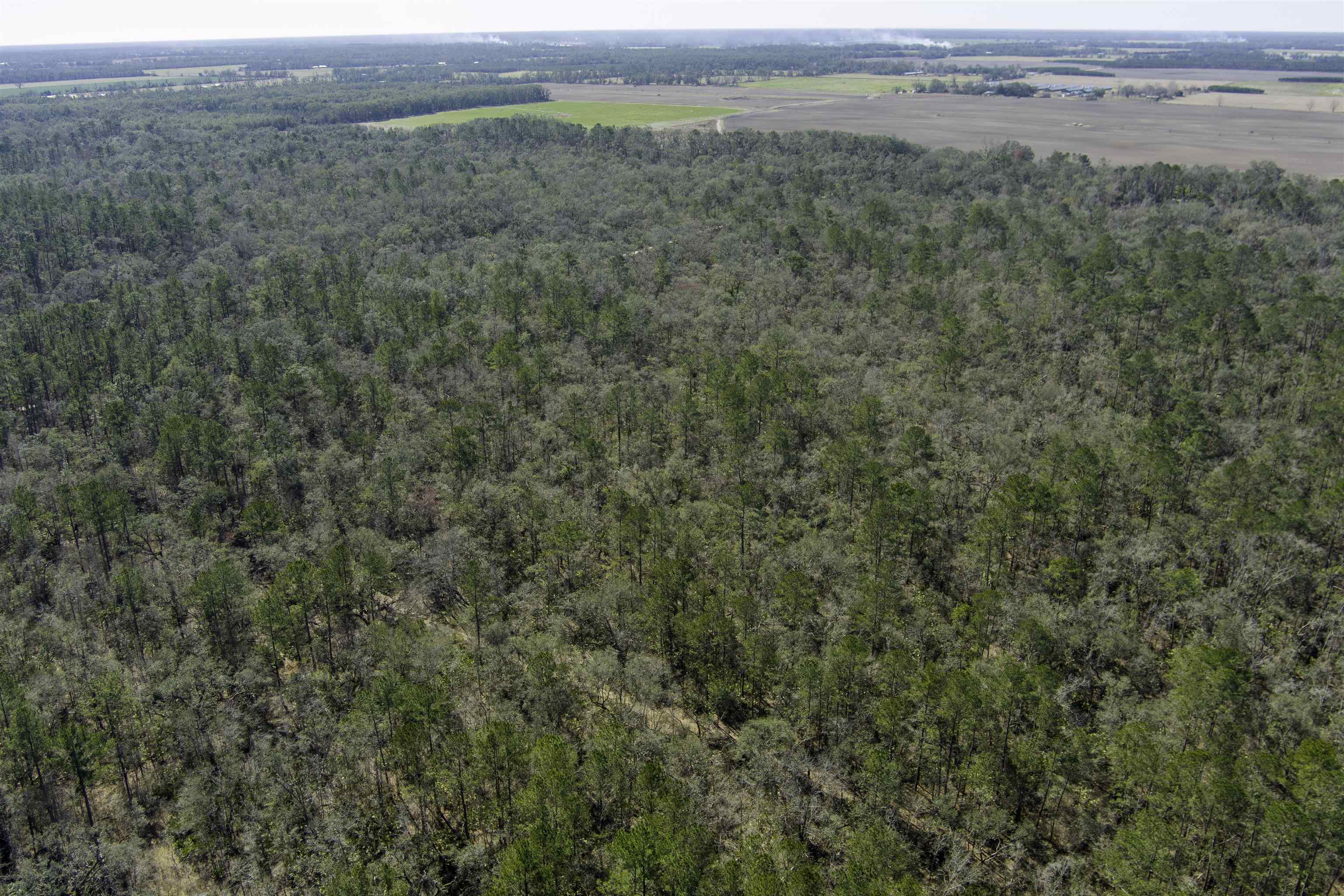 000 CR 292,MAYO,Florida 32066,Lots and land,CR 292,368529