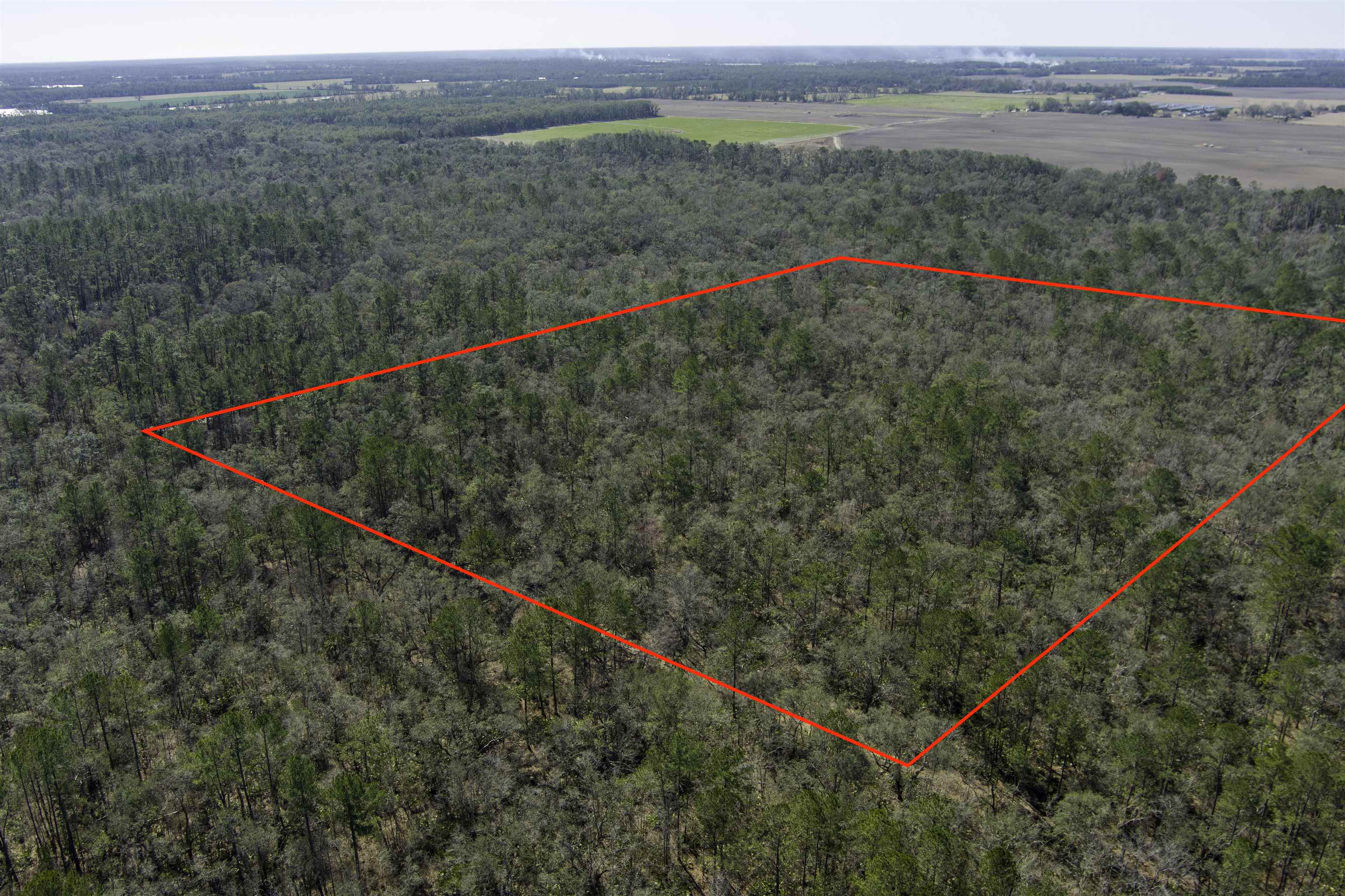 000 CR 292,MAYO,Florida 32066,Lots and land,CR 292,368529