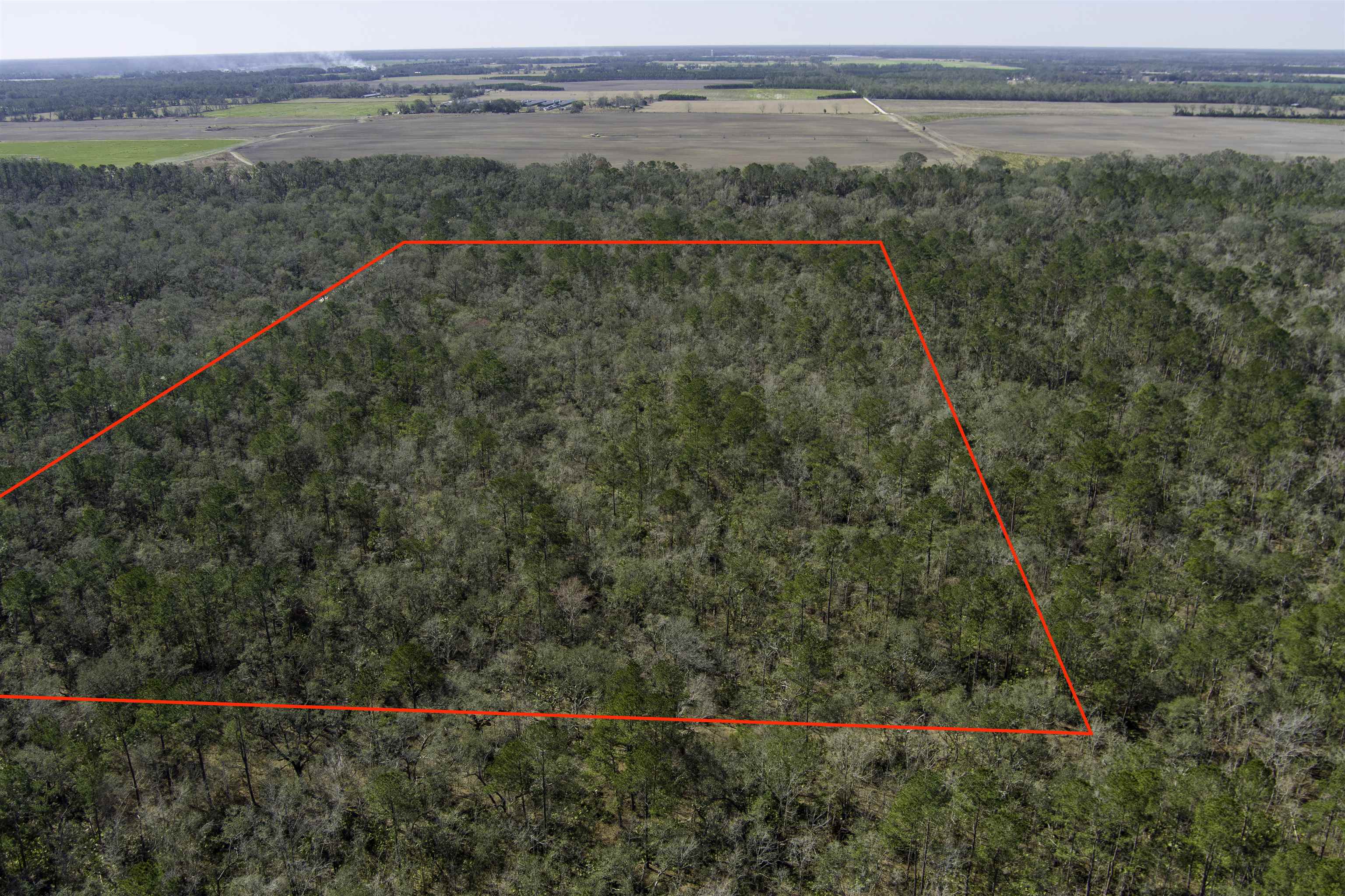 000 CR 292,MAYO,Florida 32066,Lots and land,CR 292,368529