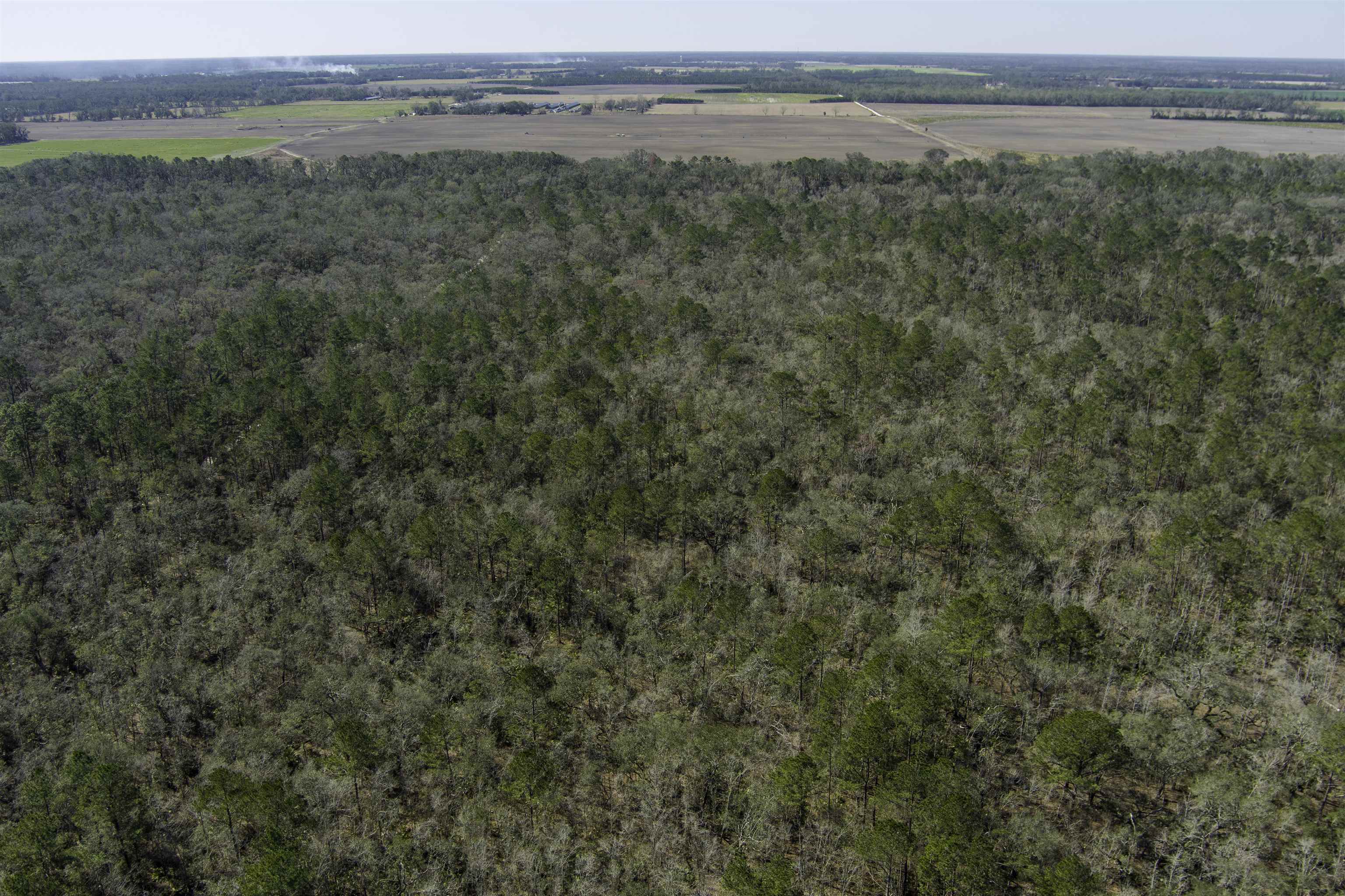 000 CR 292,MAYO,Florida 32066,Lots and land,CR 292,368529