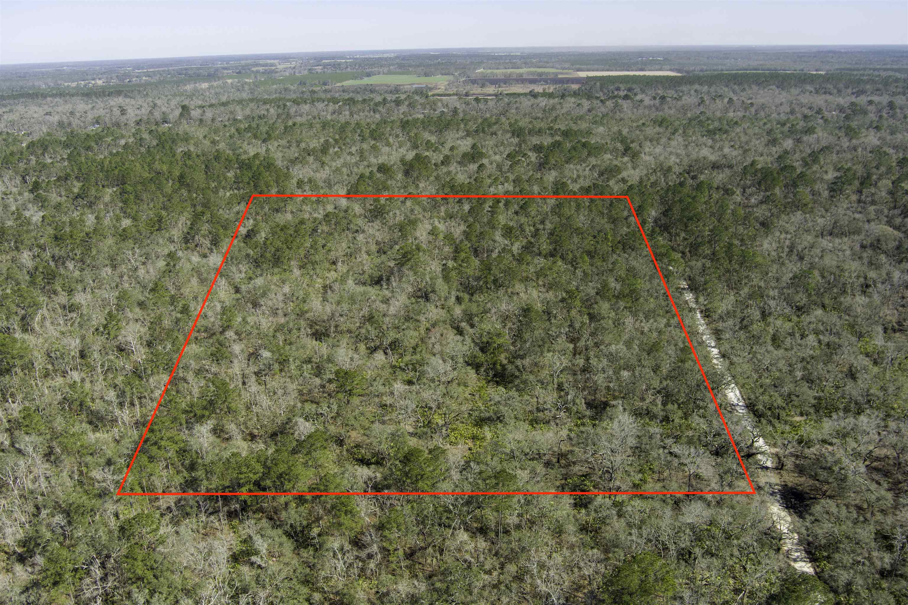 000 CR 292,MAYO,Florida 32066,Lots and land,CR 292,368529