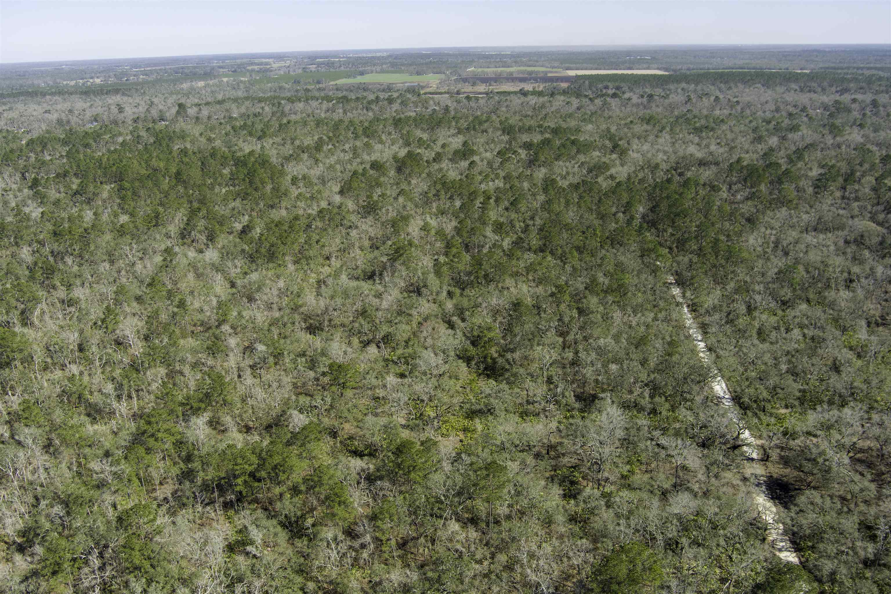 000 CR 292,MAYO,Florida 32066,Lots and land,CR 292,368529