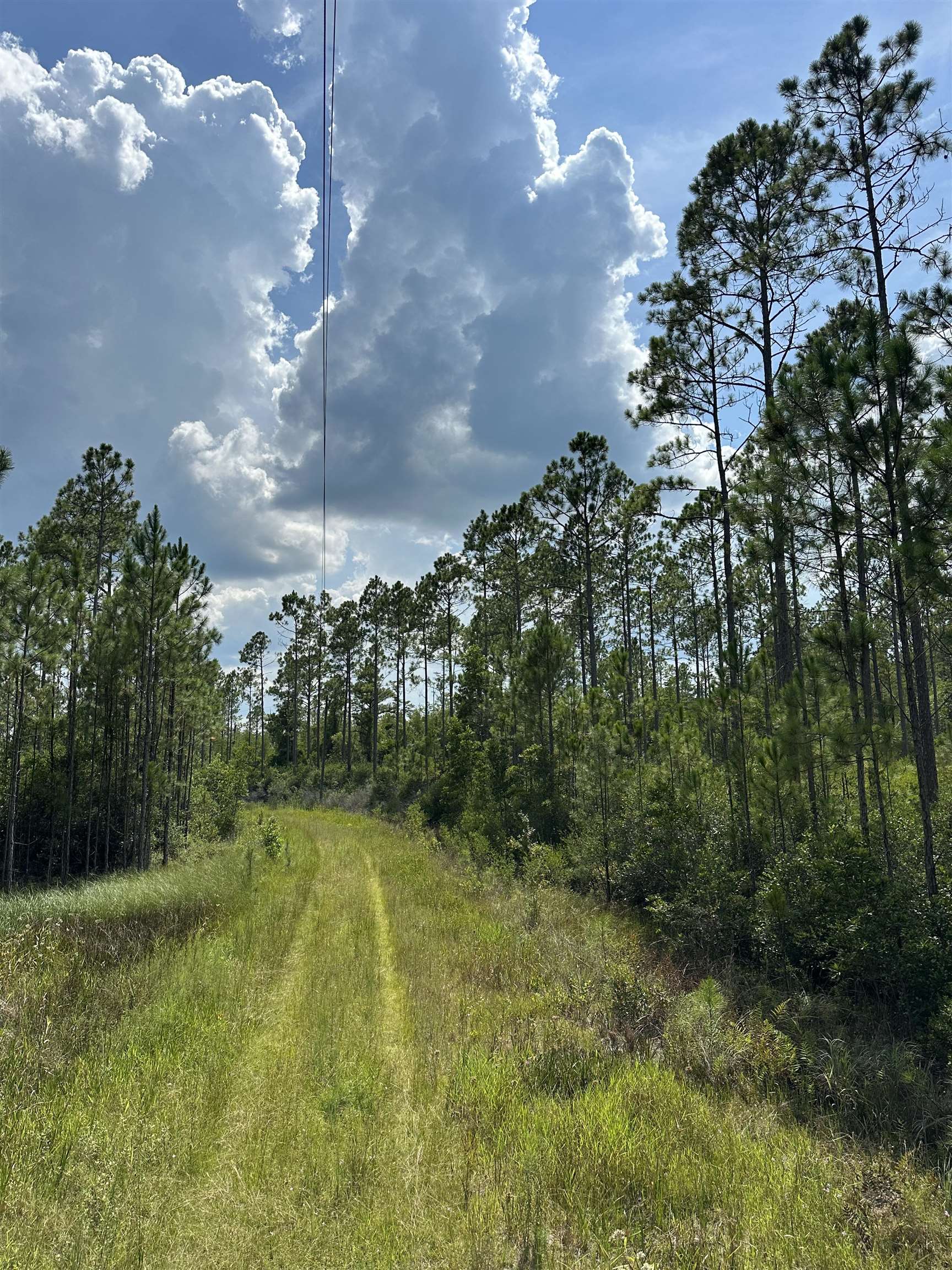 TBD Wildcat,PERRY,Florida 32348,Lots and land,Wildcat,368549