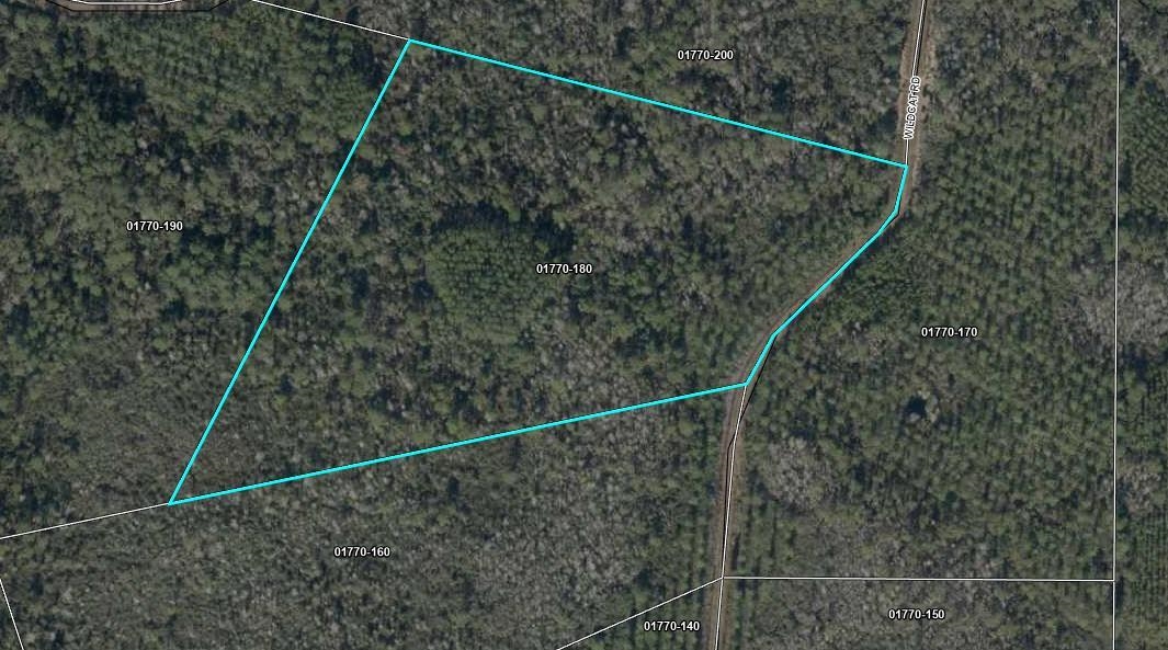 TBD Wildcat,PERRY,Florida 32348,Lots and land,Wildcat,368549