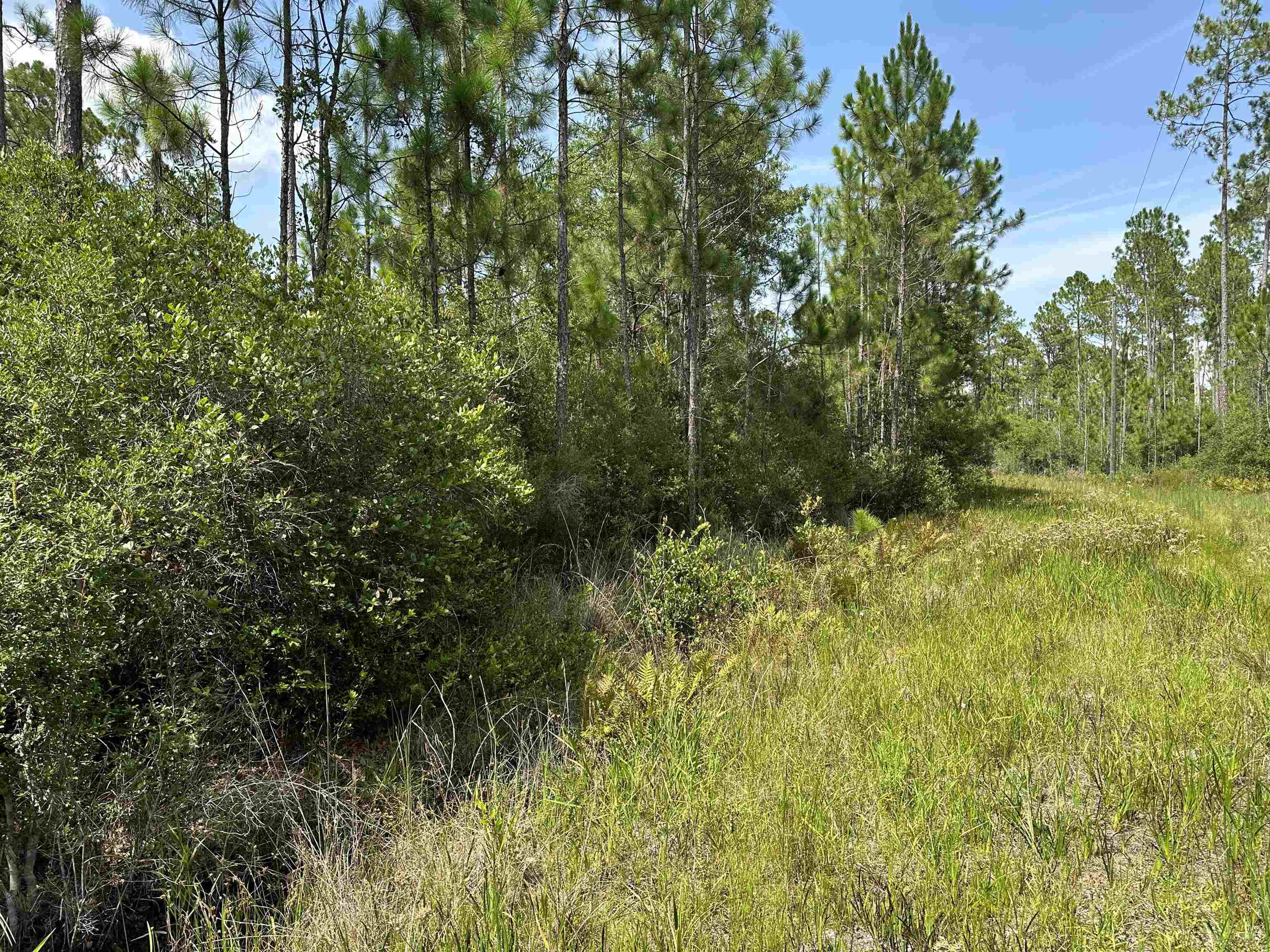 TBD Wildcat,PERRY,Florida 32348,Lots and land,Wildcat,368549