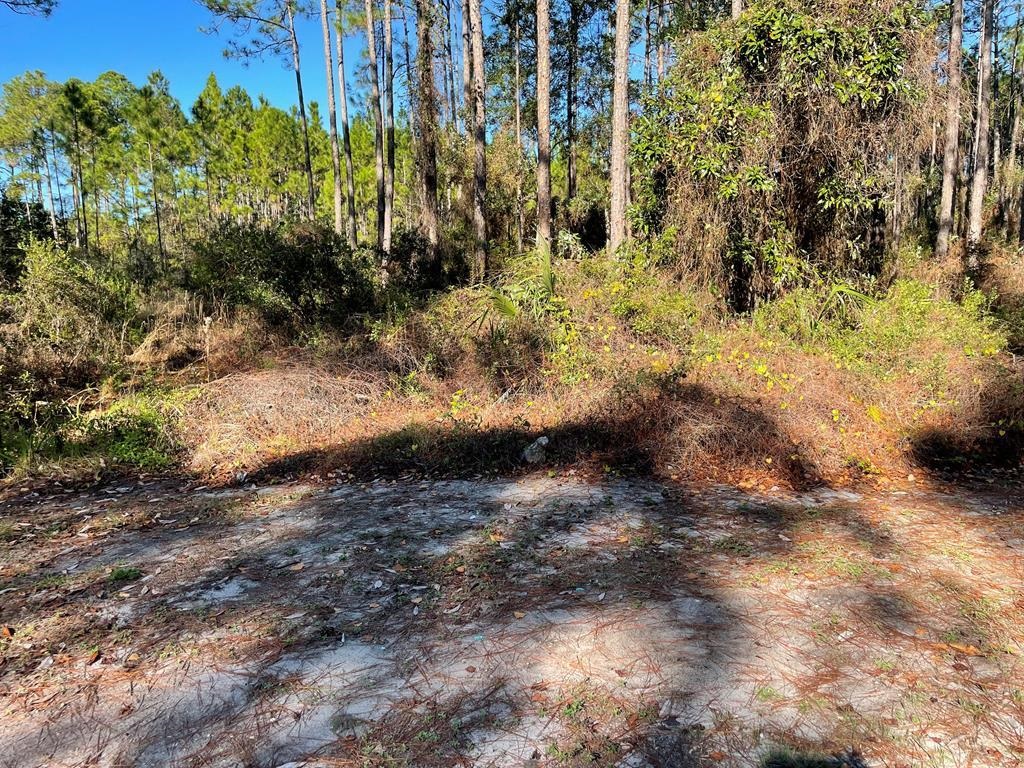 127 Royal Tern Way,CARRABELLE,Florida 32323,Lots and land,Royal Tern Way,358720