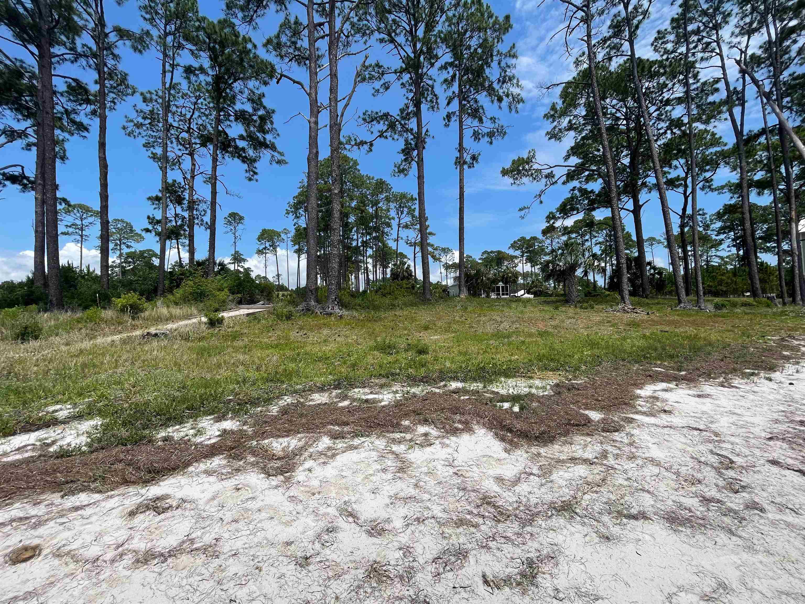 Lot 68 Hide N Seek,ST TERESA,Florida 32358,Lots and land,Hide N Seek,358796