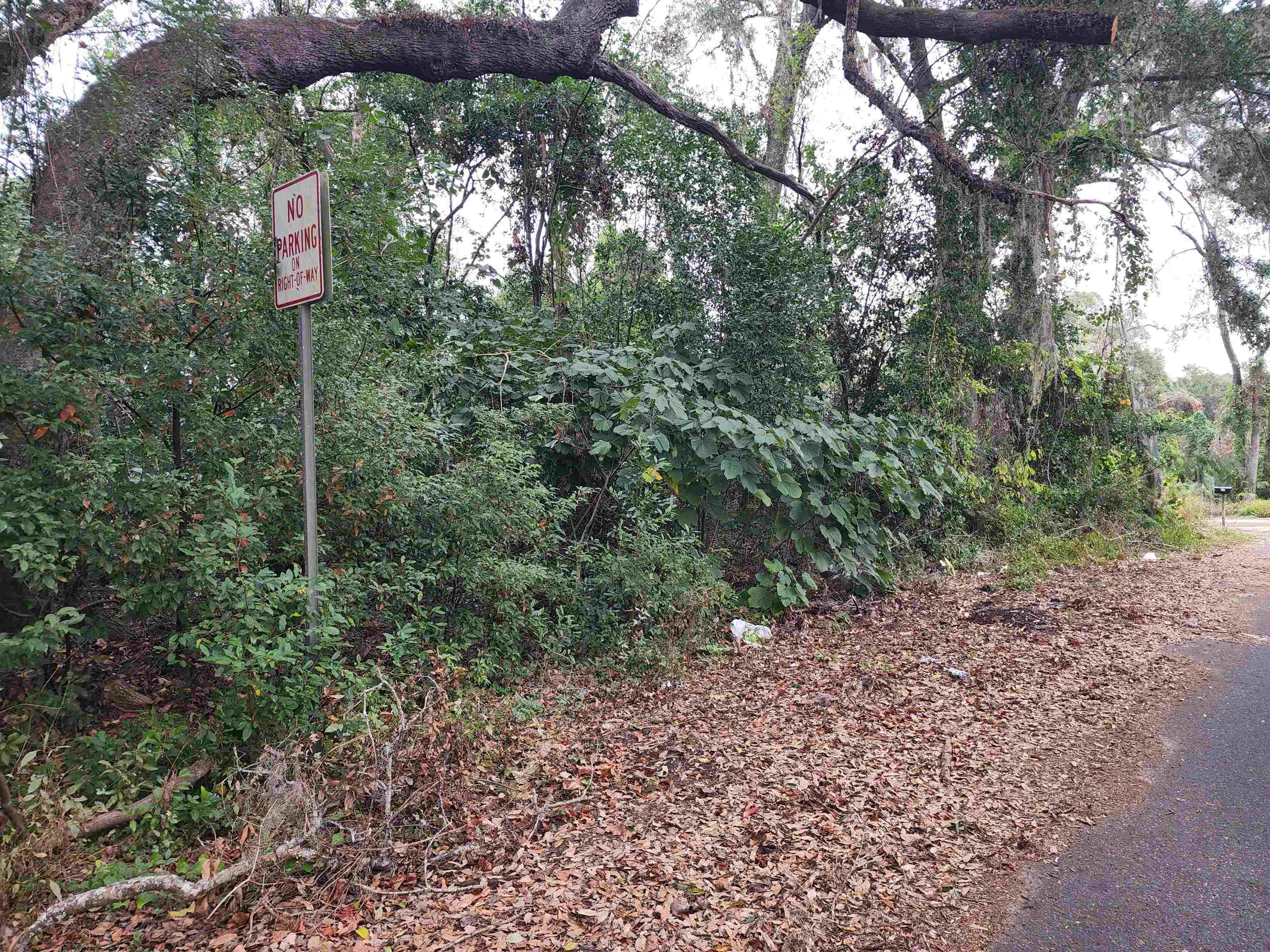 Vacant Osgood Ave,MADISON,Florida 32340,Lots and land,Osgood Ave,365672