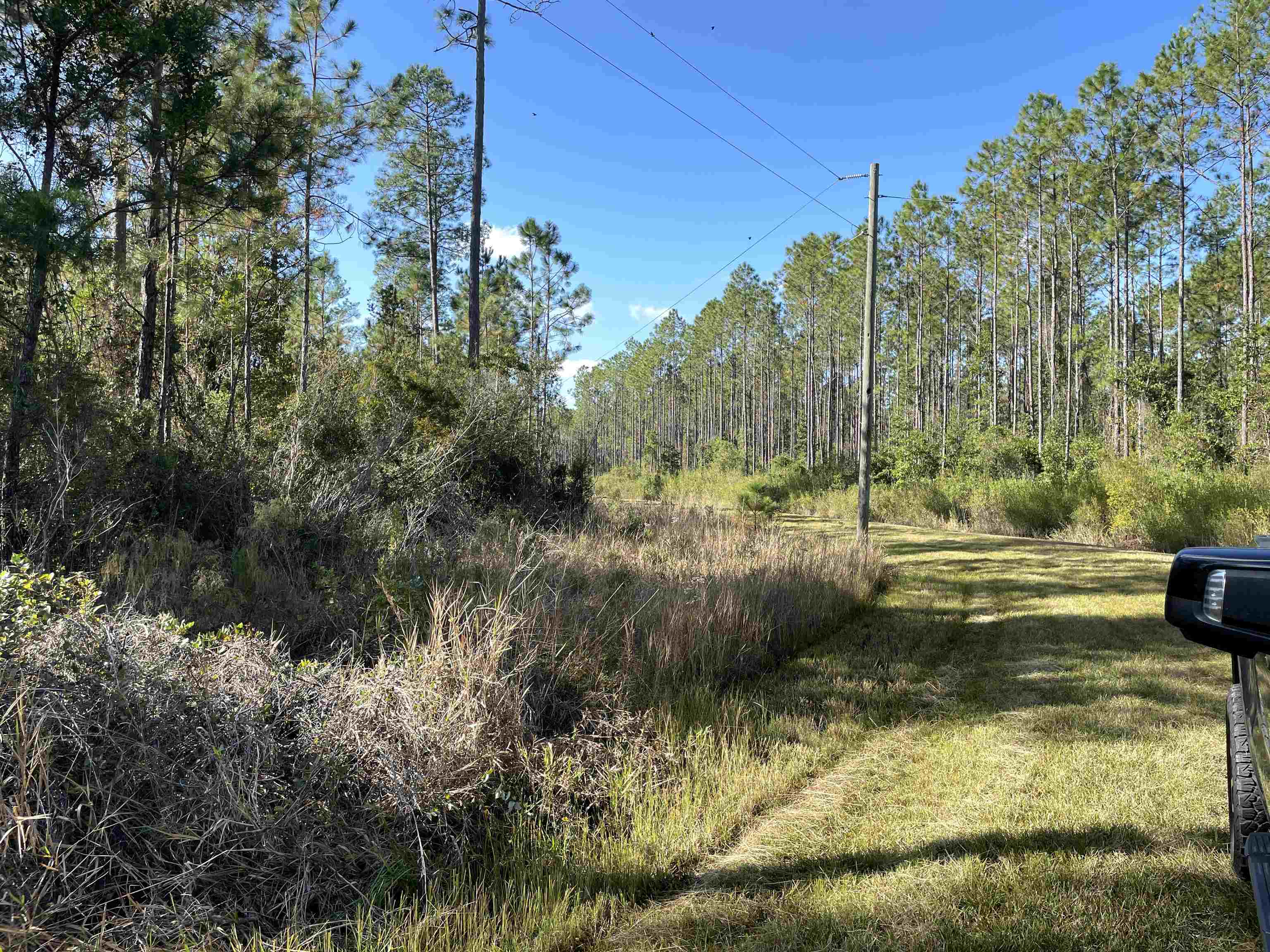 Pier,GREENVILLE,Florida 32331,Lots and land,Pier,365676