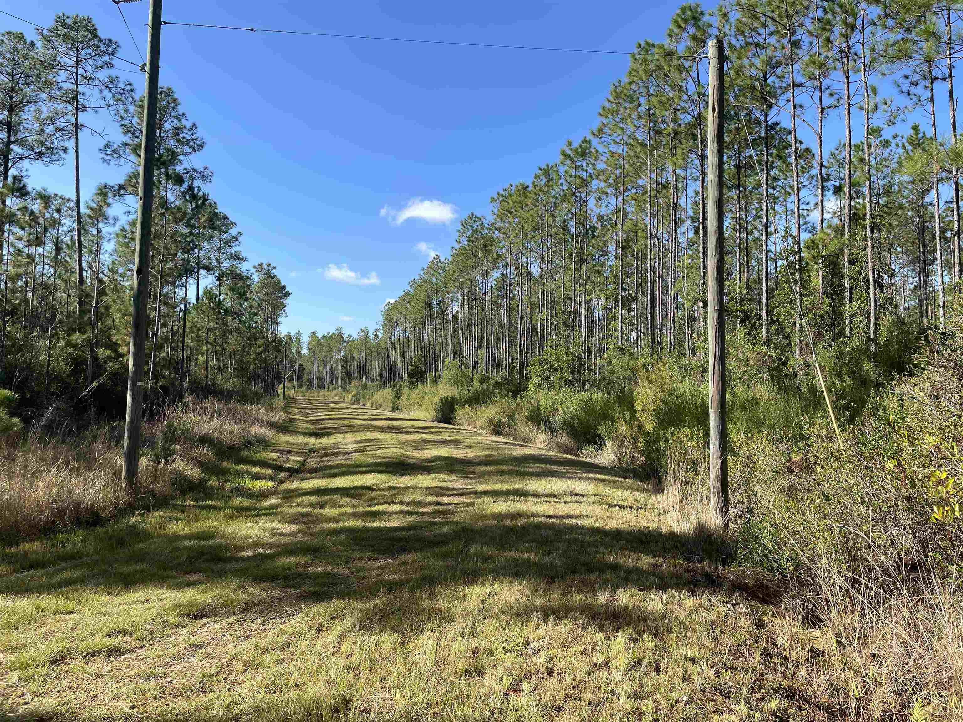 Pier,GREENVILLE,Florida 32331,Lots and land,Pier,365676