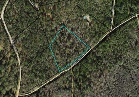 TBD Aucilla Plantation,GREENVILLE,Florida 32331,Lots and land,Aucilla Plantation,368576