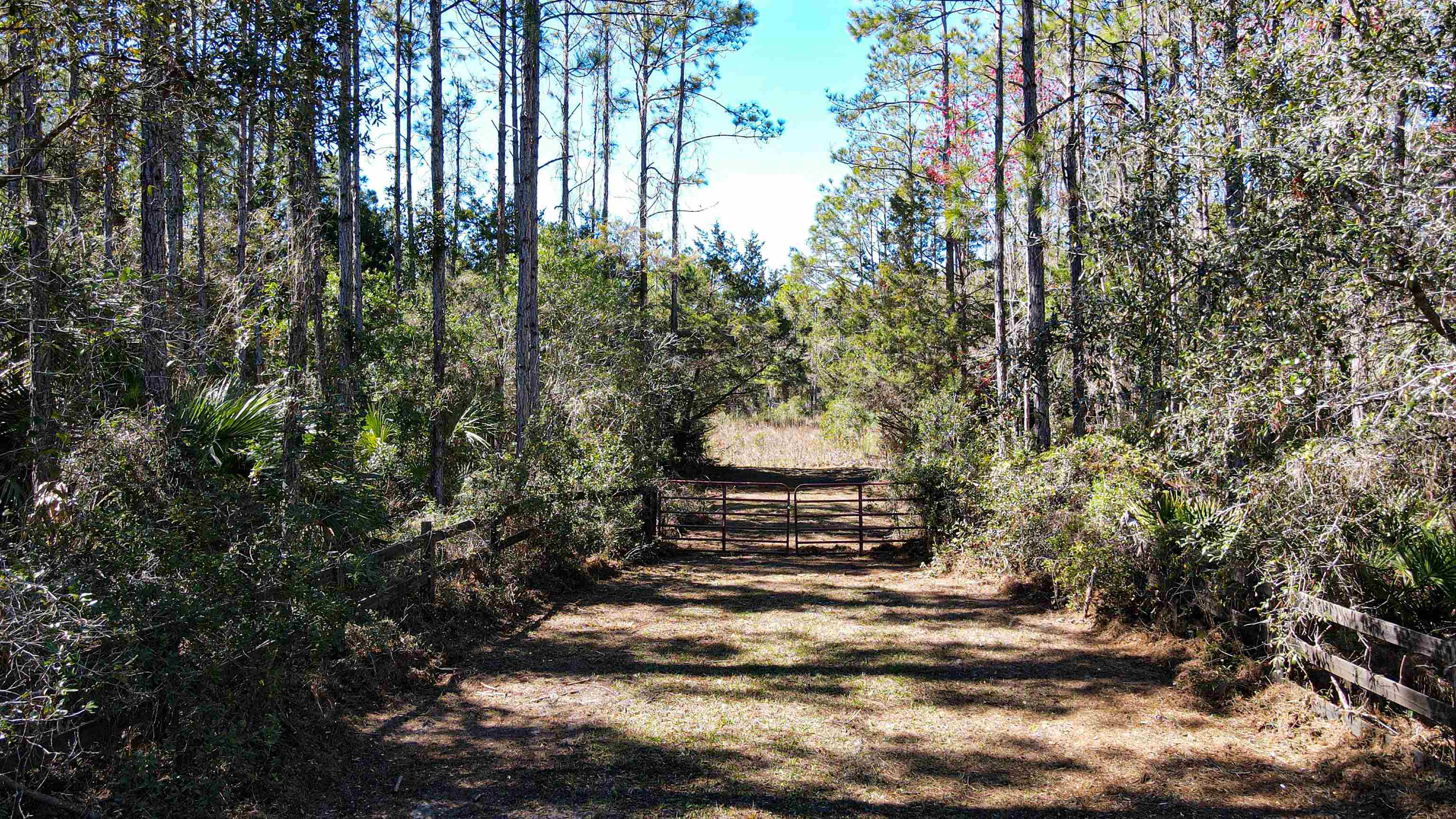 000 SW Hwy 361,STEINHATCHEE,Florida 32359,Lots and land,SW Hwy 361,368586