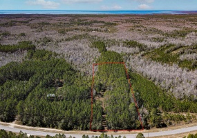 000 SW Hwy 361,STEINHATCHEE,Florida 32359,Lots and land,SW Hwy 361,368586