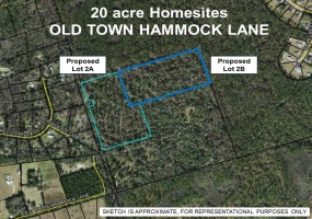 20 ac OLD TOWN HAMMOCK,CRAWFORDVILLE,Florida 32327,Lots and land,OLD TOWN HAMMOCK,368611