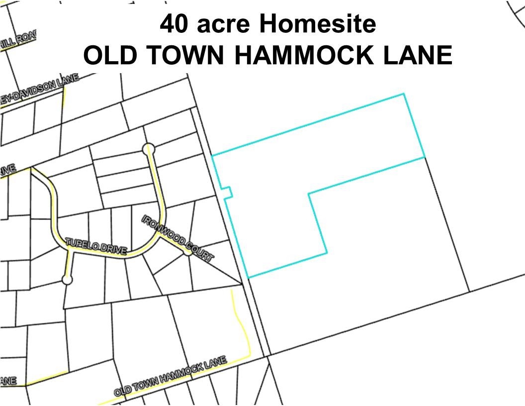 40 ac OLD TOWN HAMMOCK,CRAWFORDVILLE,Florida 32327,Lots and land,OLD TOWN HAMMOCK,368614