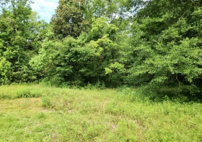 1650 Commonwealth Business lot 1,TALLAHASSEE,Florida 32303,Lots and land,Commonwealth Business lot 1,359482