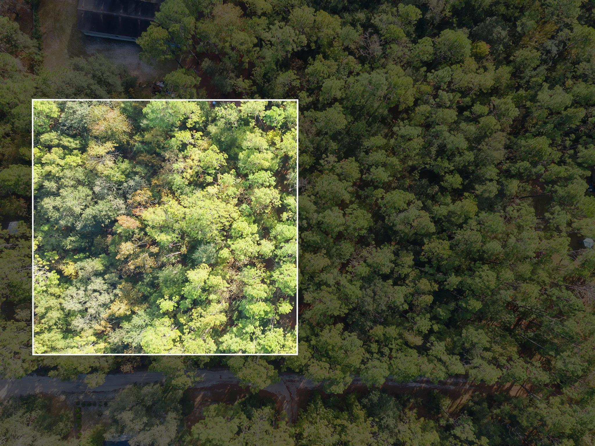 000 Wild Berry,TALLAHASSEE,Florida 32305,Lots and land,Wild Berry,368659