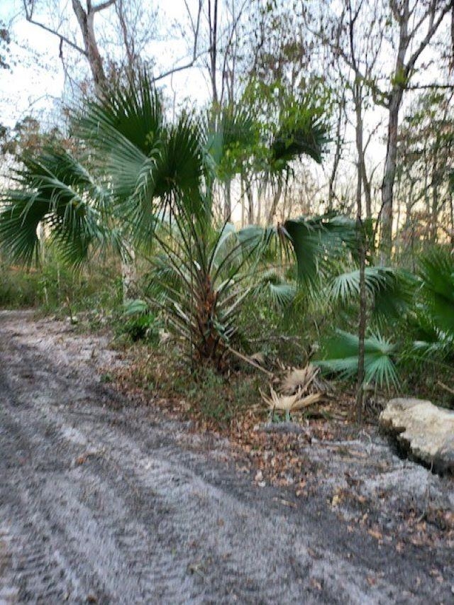 xx River Plantation,CRAWFORDVILLE,Florida 32327,Lots and land,River Plantation,368674