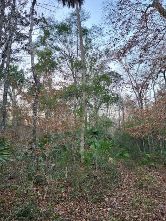 xx River Plantation,CRAWFORDVILLE,Florida 32327,Lots and land,River Plantation,368674