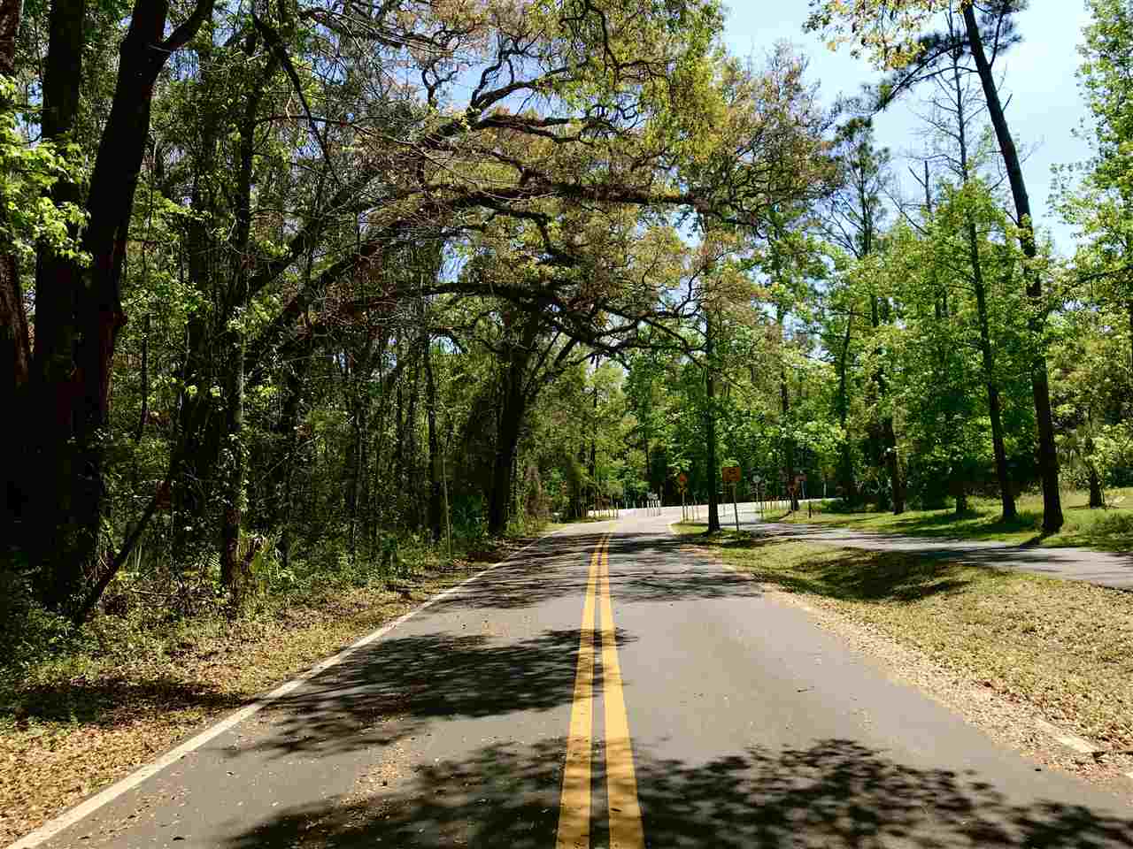 xx Bloxham Cutoff,CRAWFORDVILLE,Florida 32327,Lots and land,Bloxham Cutoff,359563