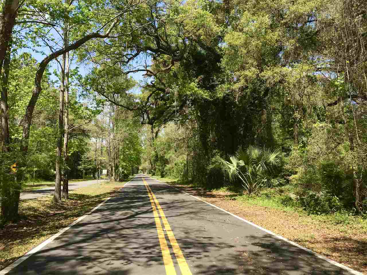 xx Bloxham Cutoff,CRAWFORDVILLE,Florida 32327,Lots and land,Bloxham Cutoff,359563