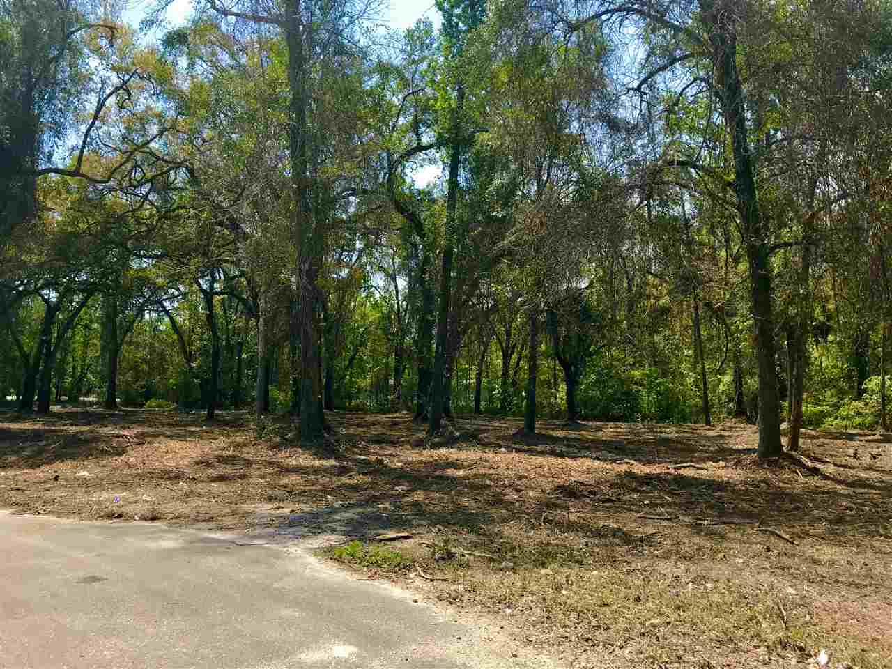 xx Bloxham Cutoff,CRAWFORDVILLE,Florida 32327,Lots and land,Bloxham Cutoff,359563